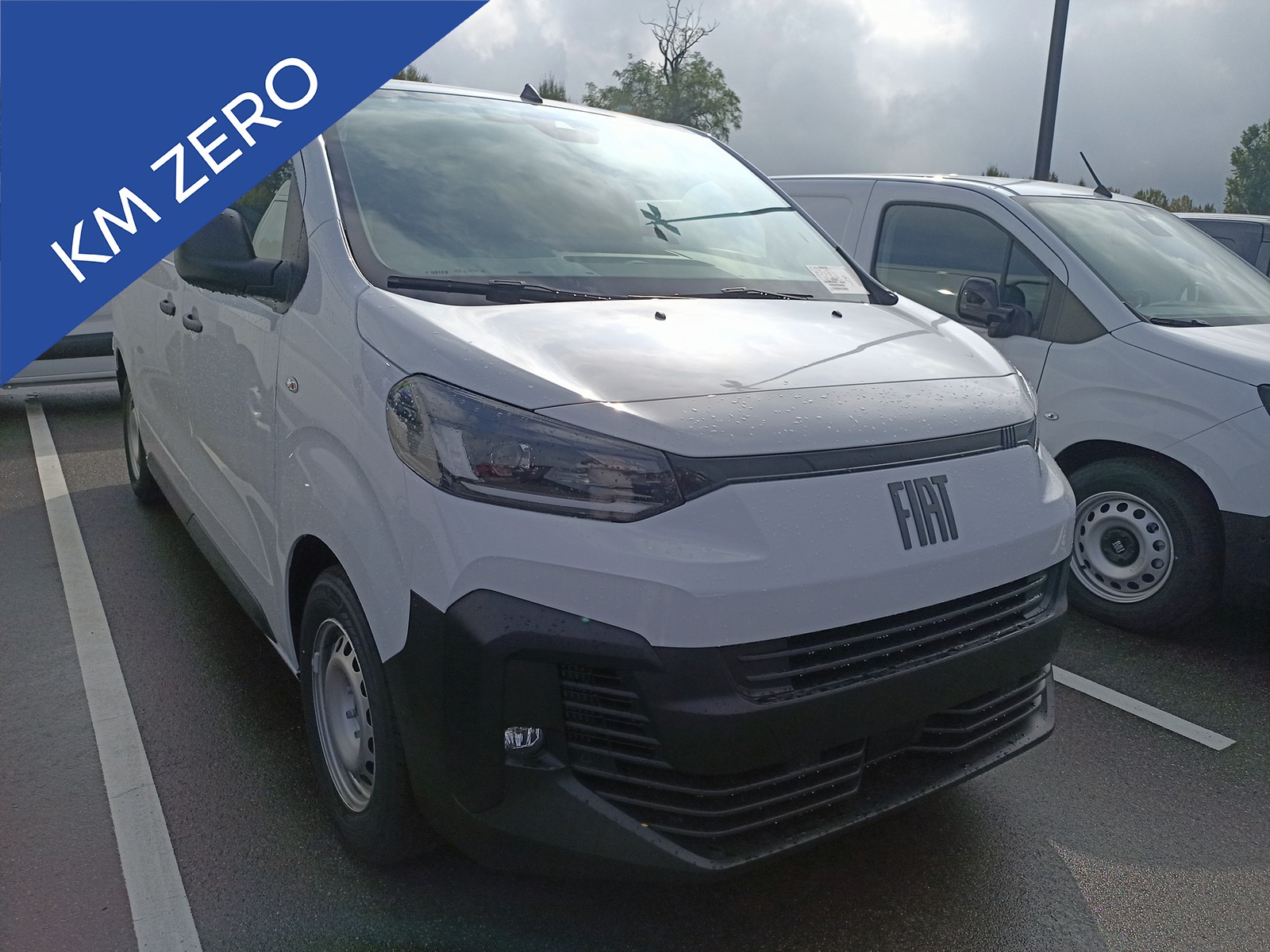 PRONTOAUTO Fiat Scudo