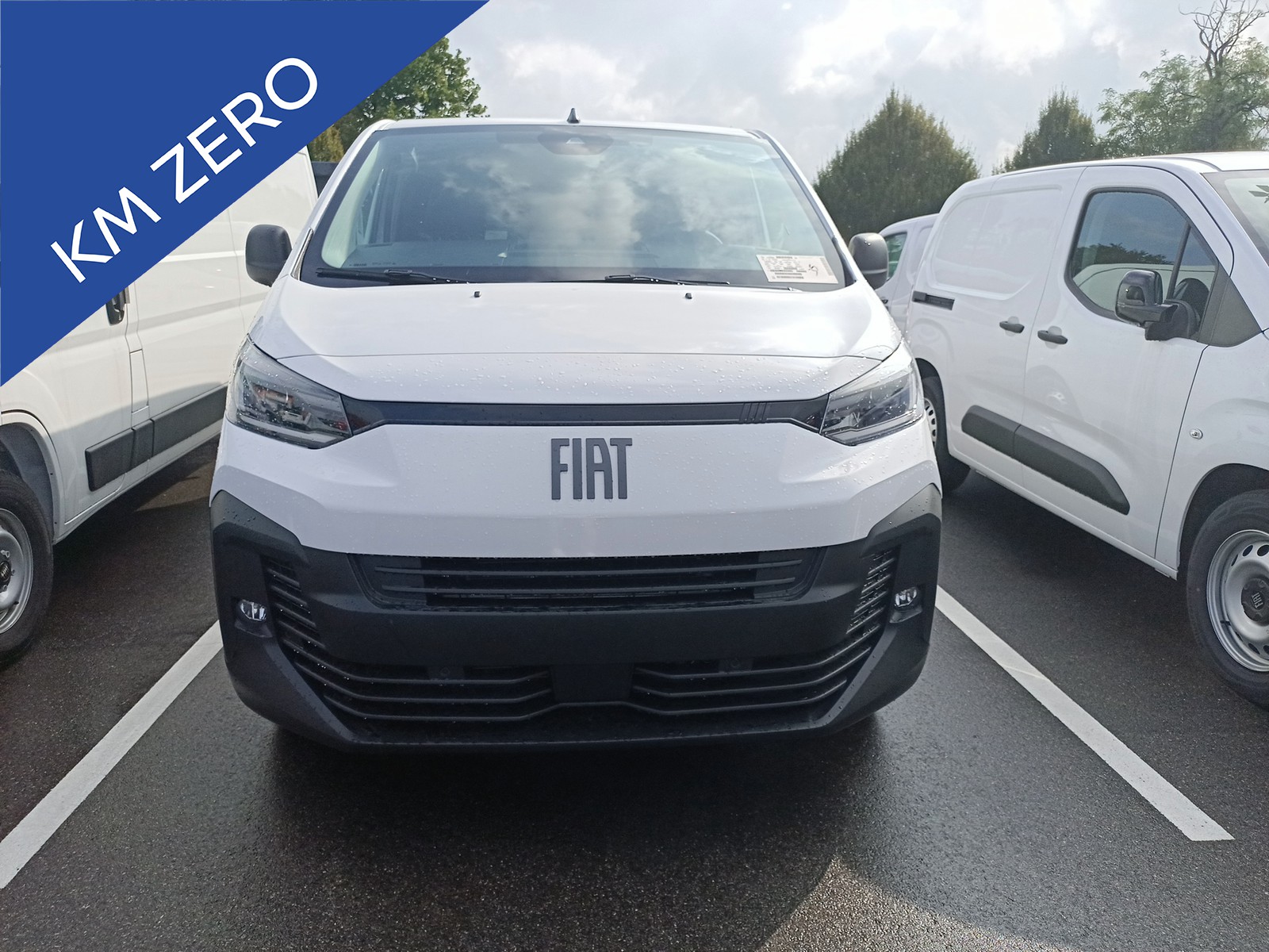 PRONTOAUTO Fiat Scudo