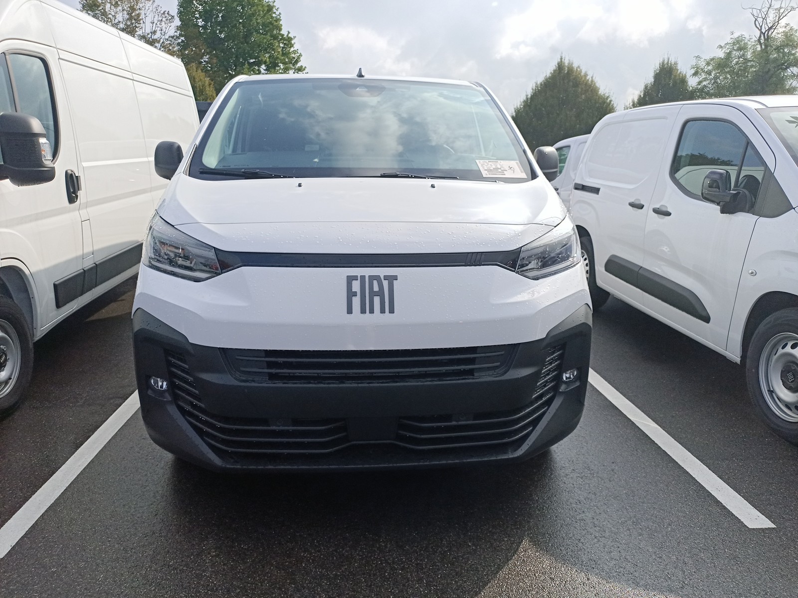 PRONTOAUTO Fiat Scudo