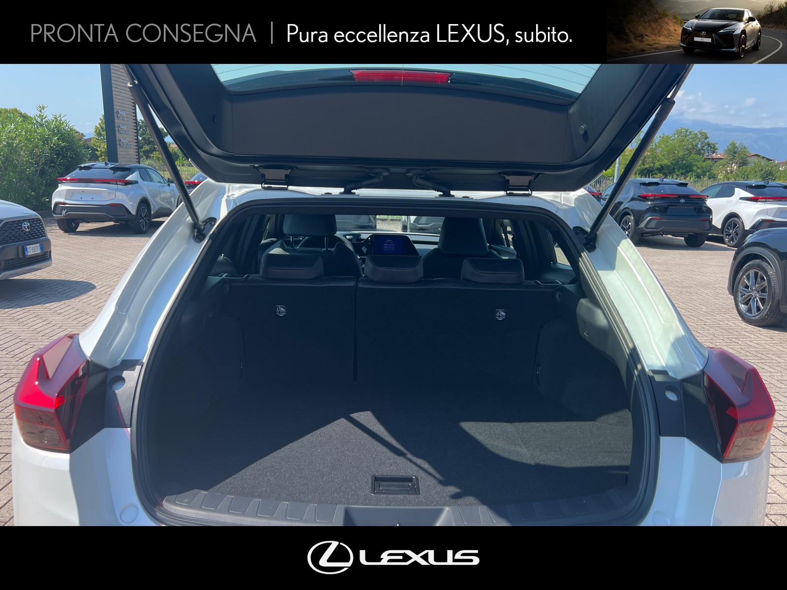 CARINI Lexus UX