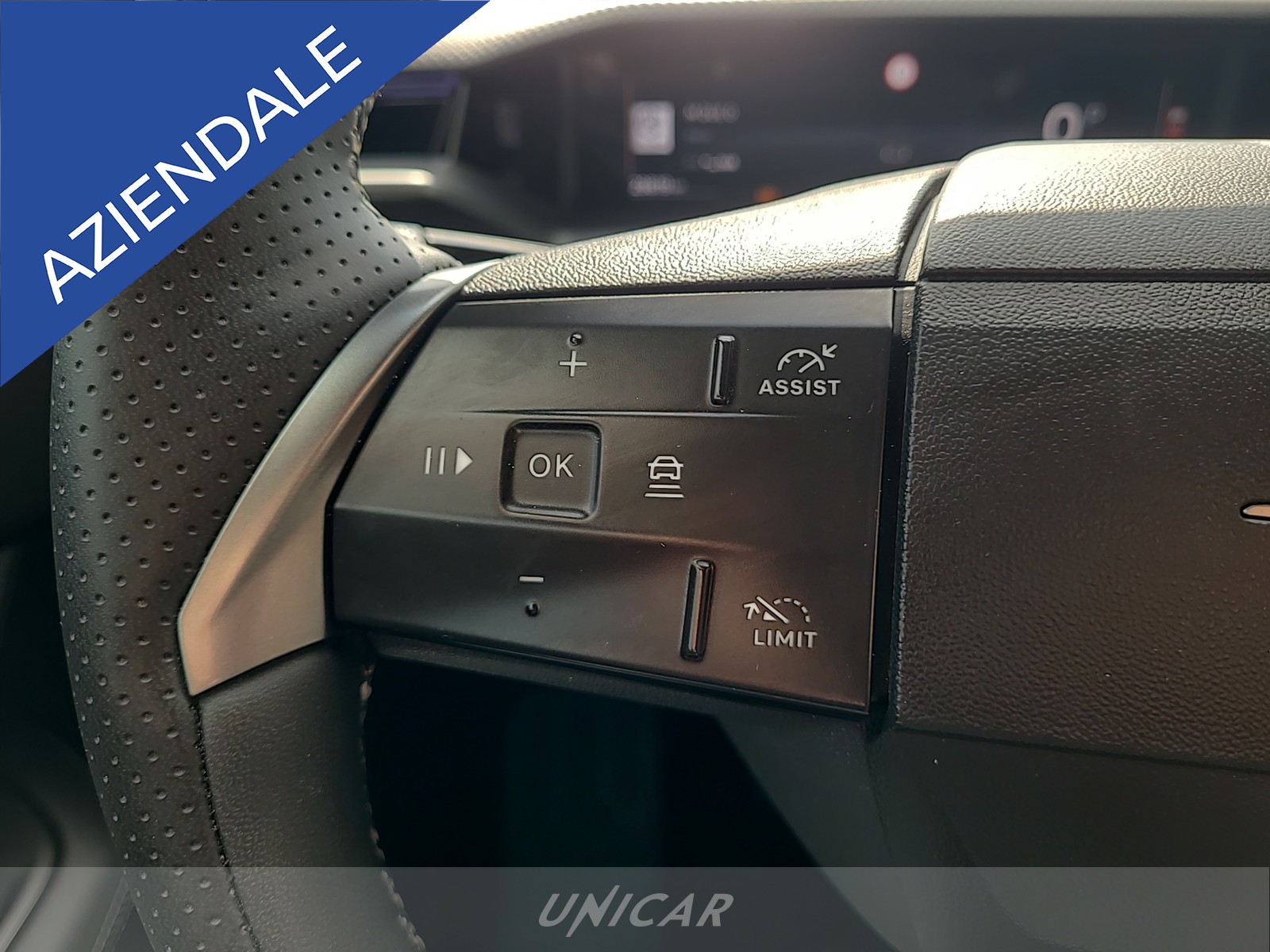 UNICAR Opel Grandland