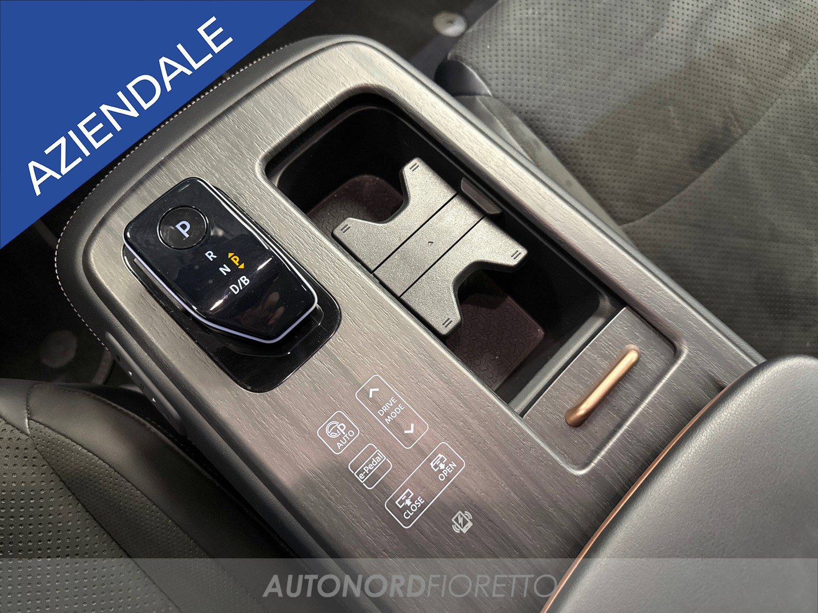 AUTONORD Nissan Ariya