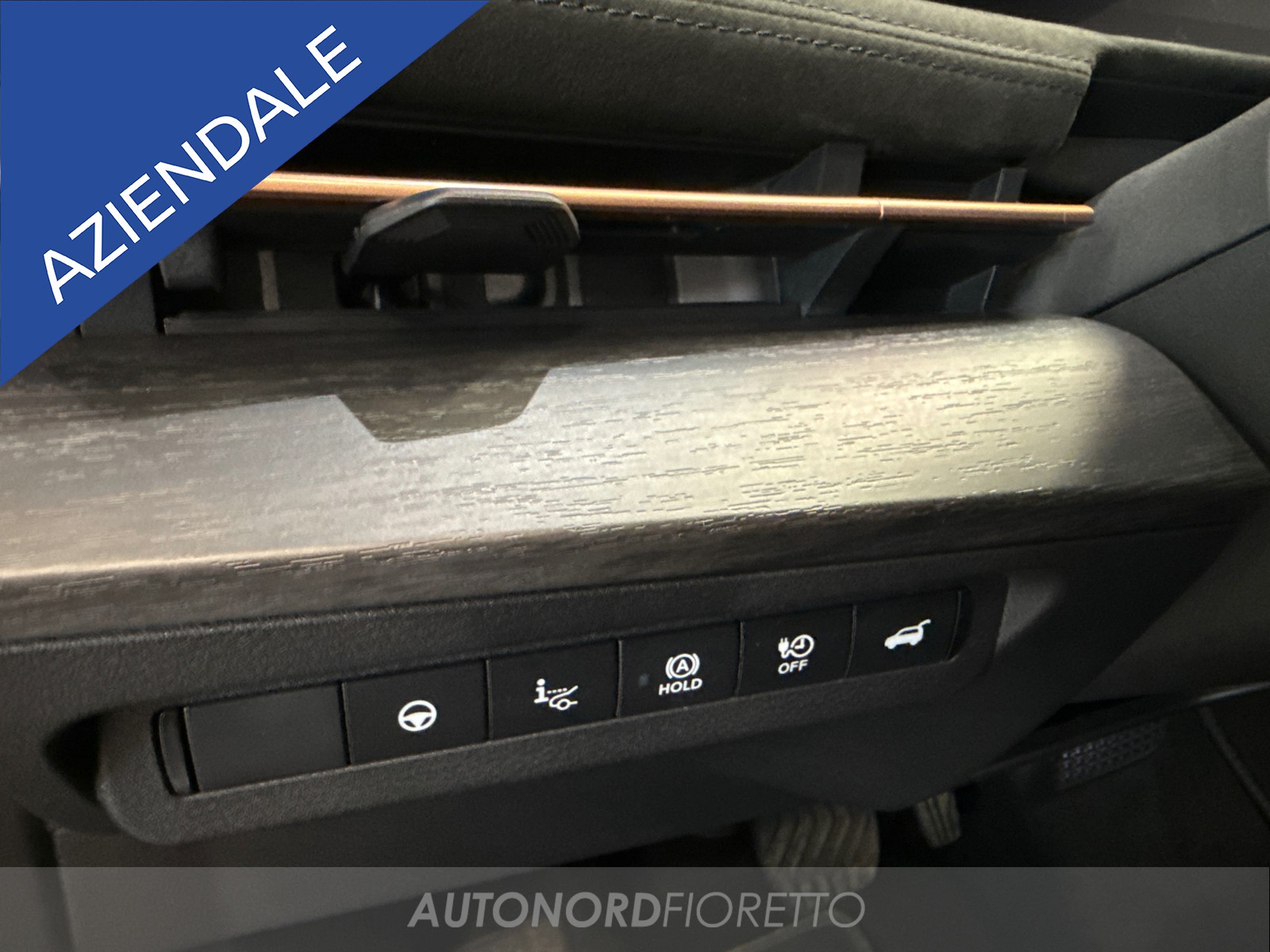 AUTONORD Nissan Ariya