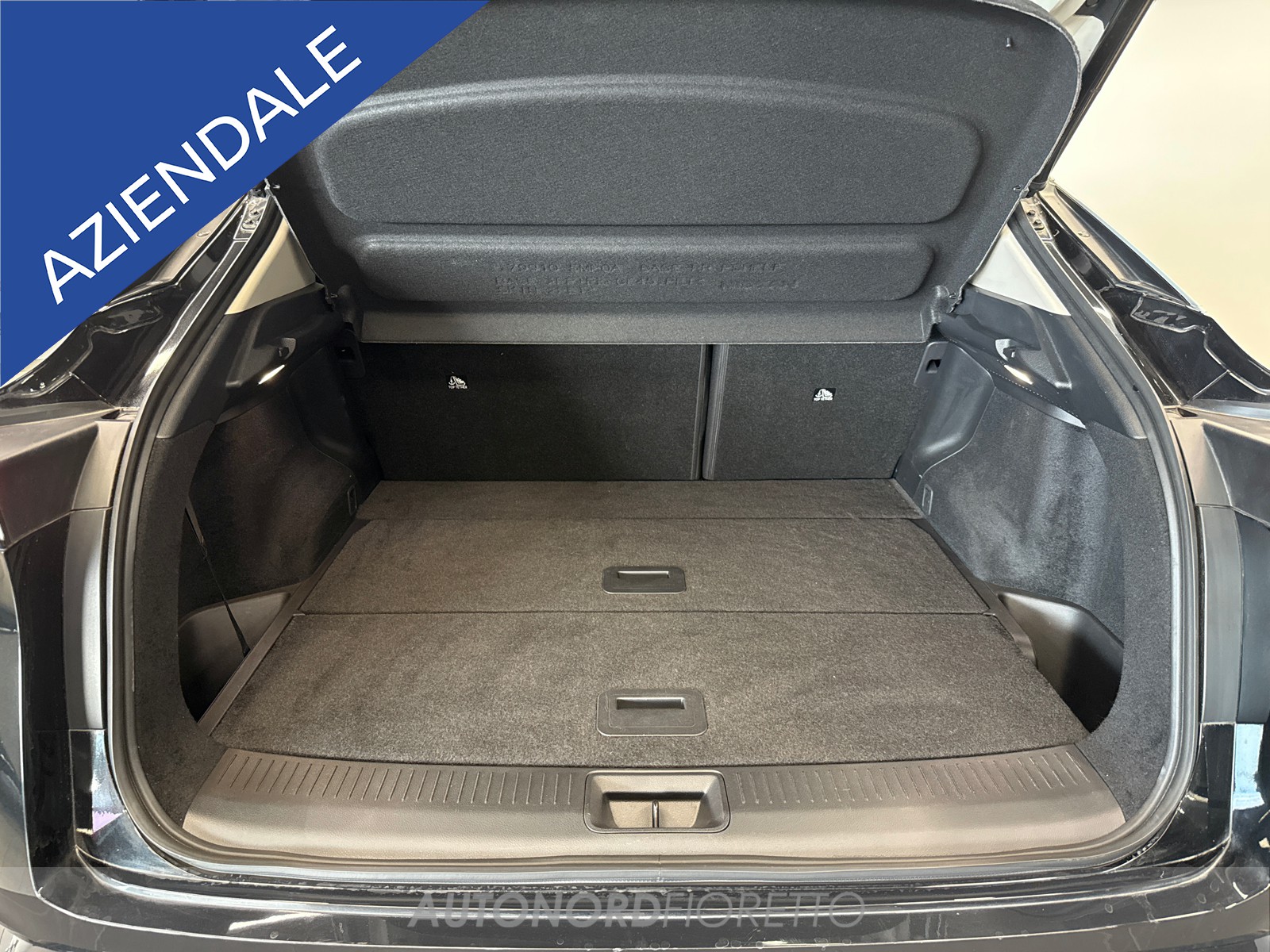 AUTONORD Nissan Ariya