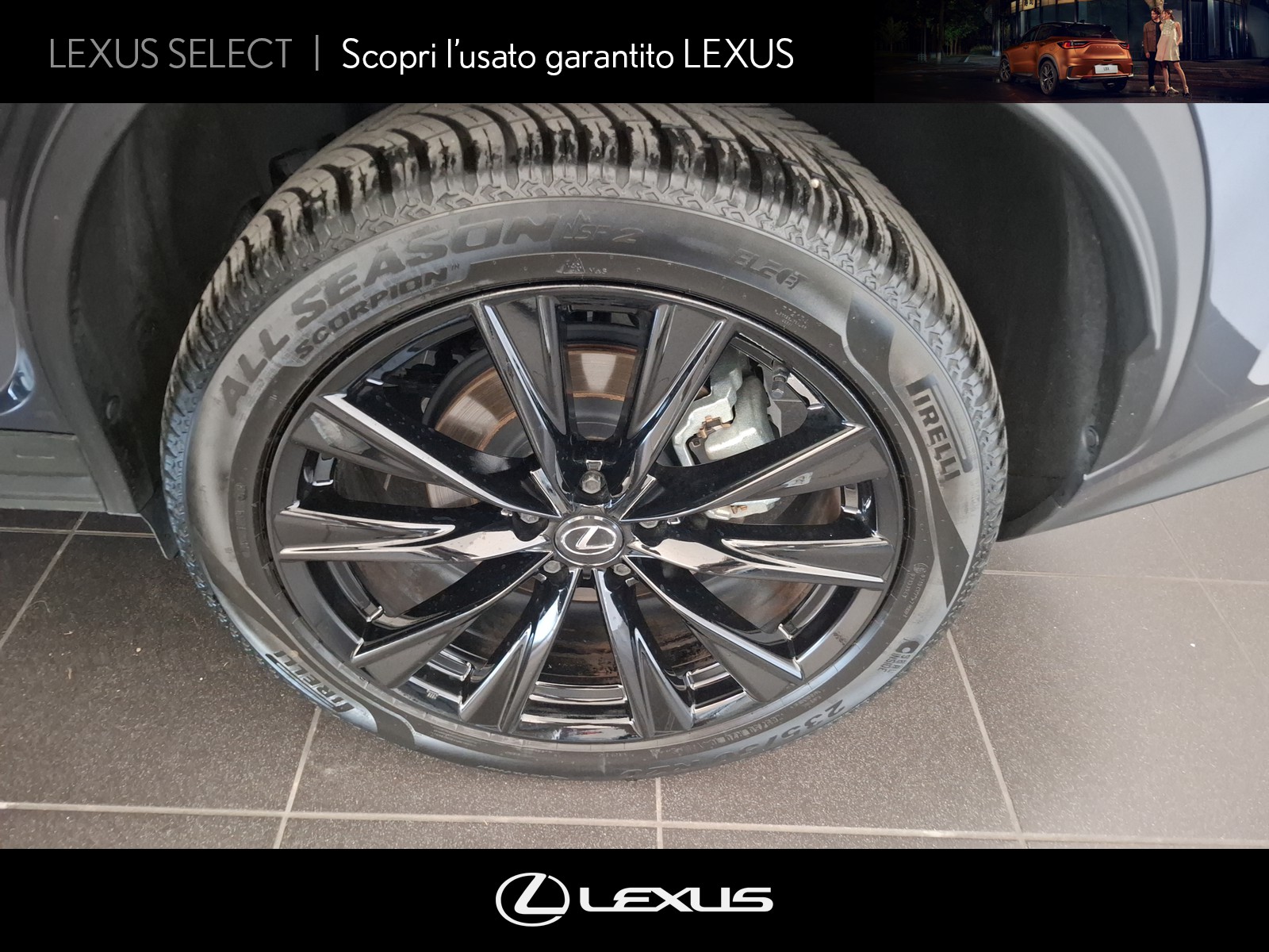 CARINI Lexus NX