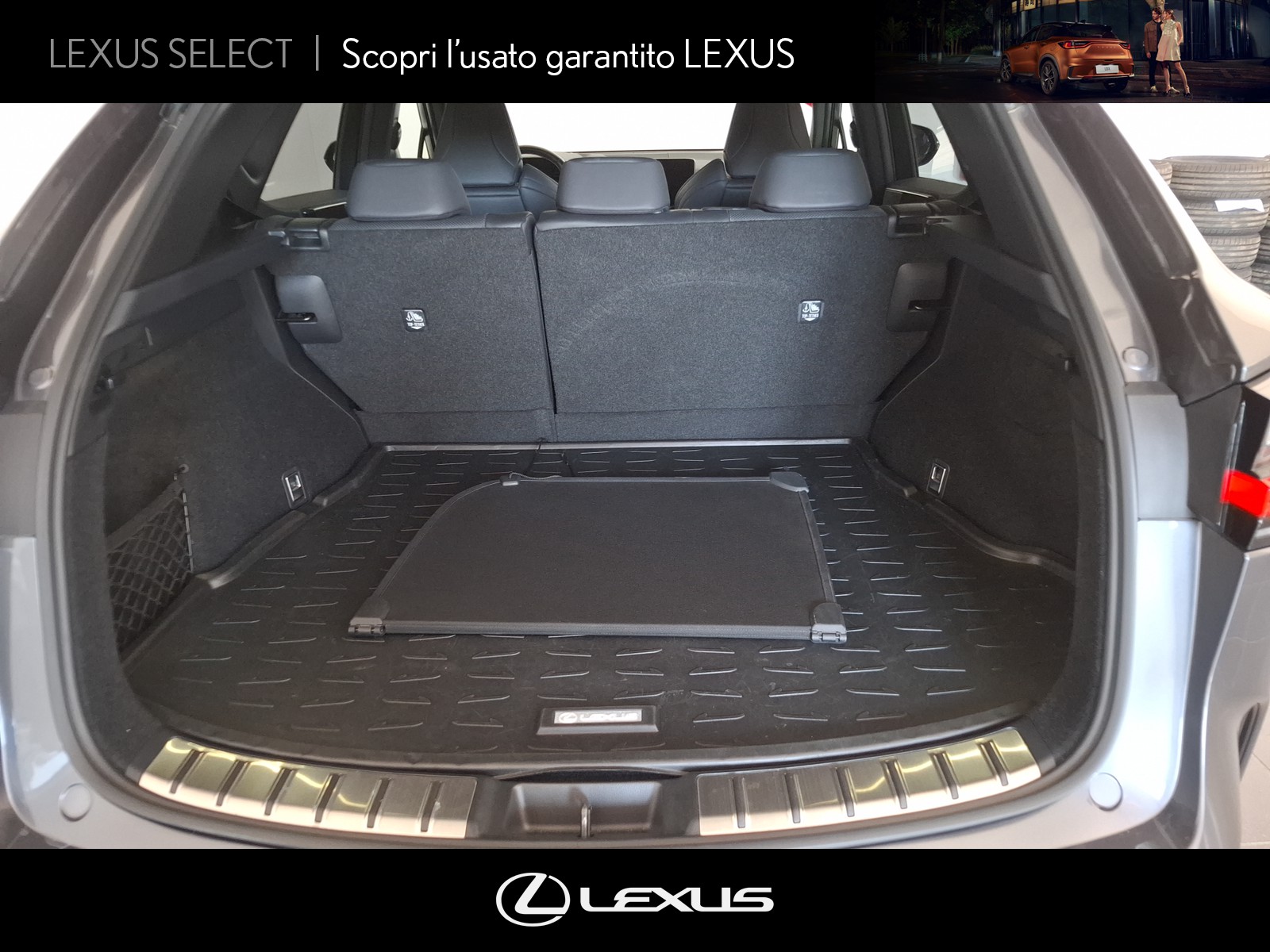 CARINI Lexus NX