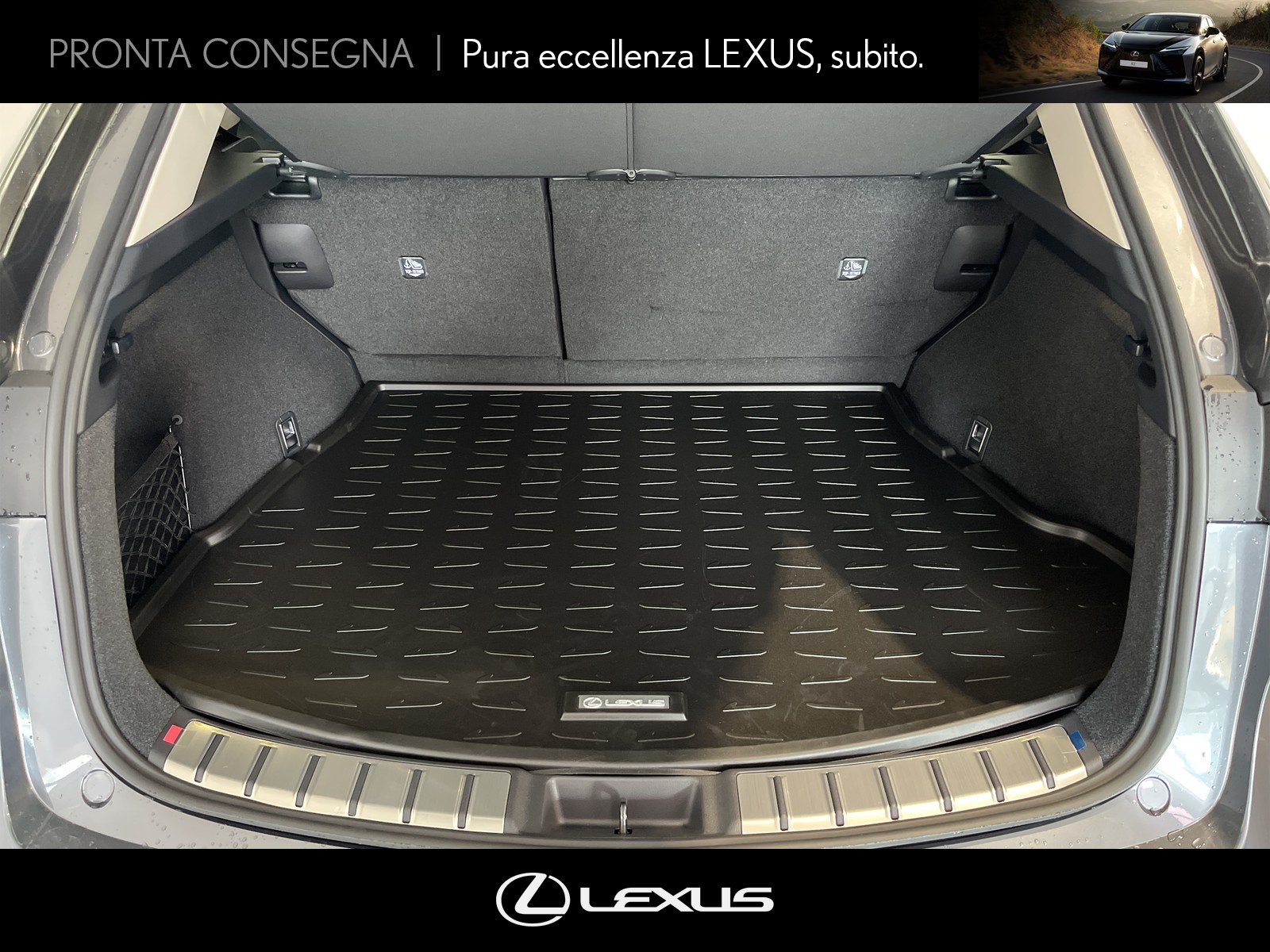 CARINI Lexus NX