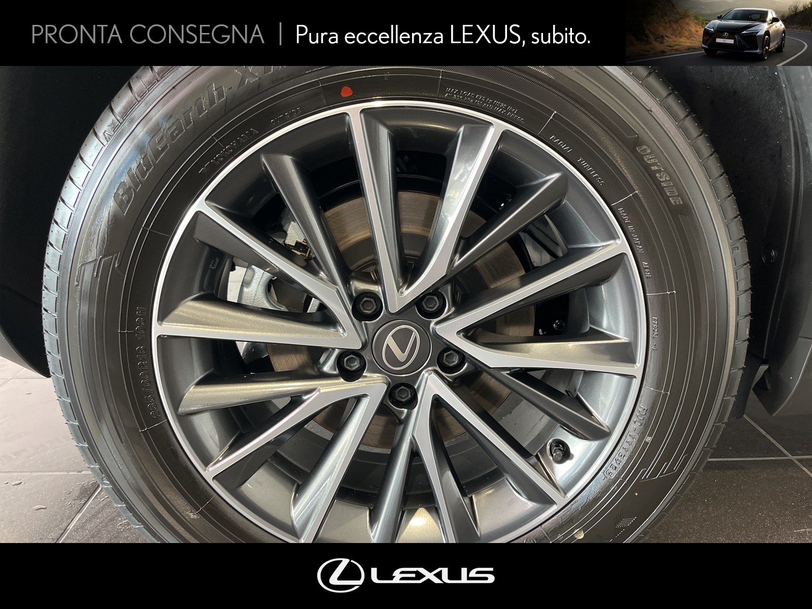 CARINI Lexus NX