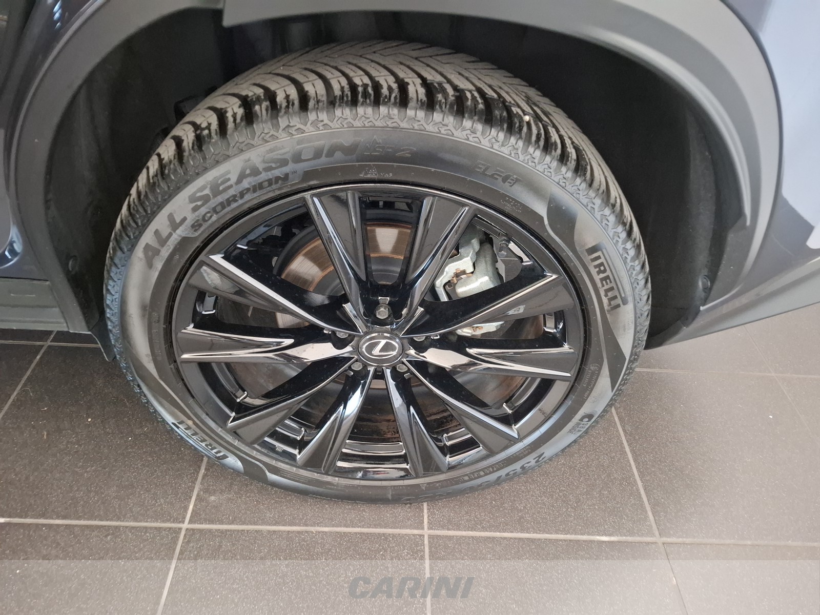 CARINI Lexus NX