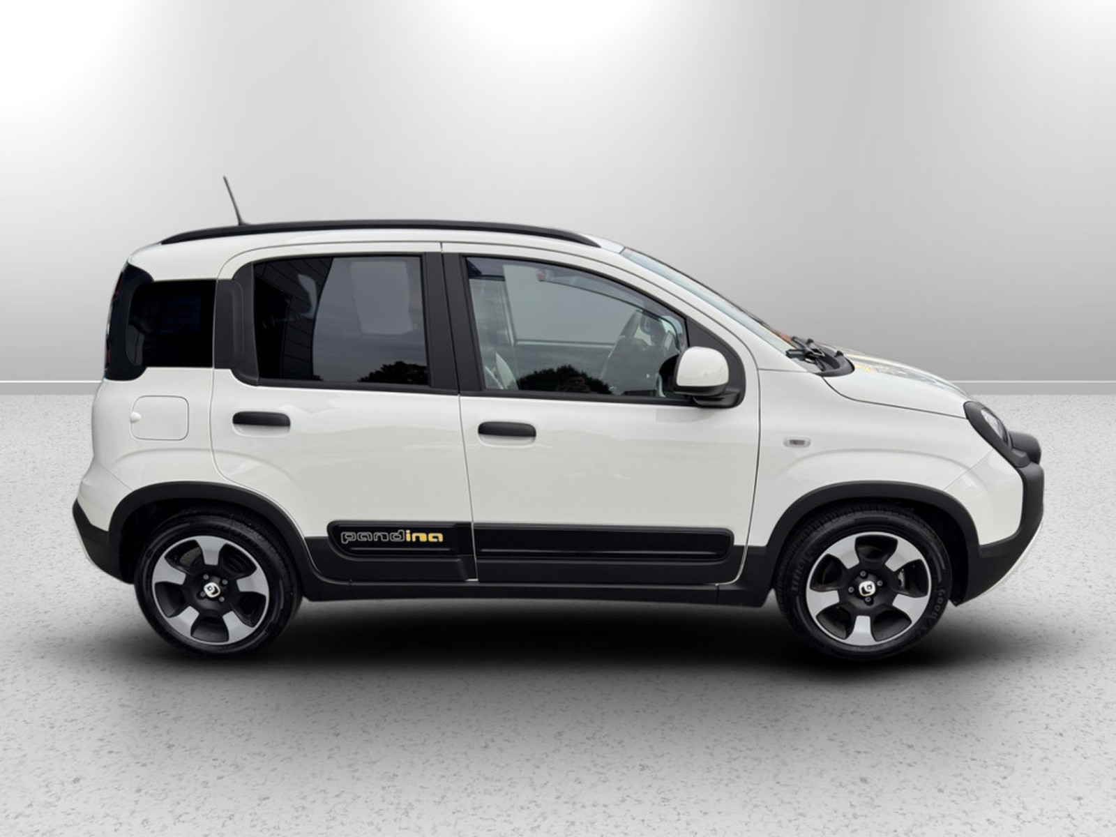 PRONTOAUTO Fiat Pandina