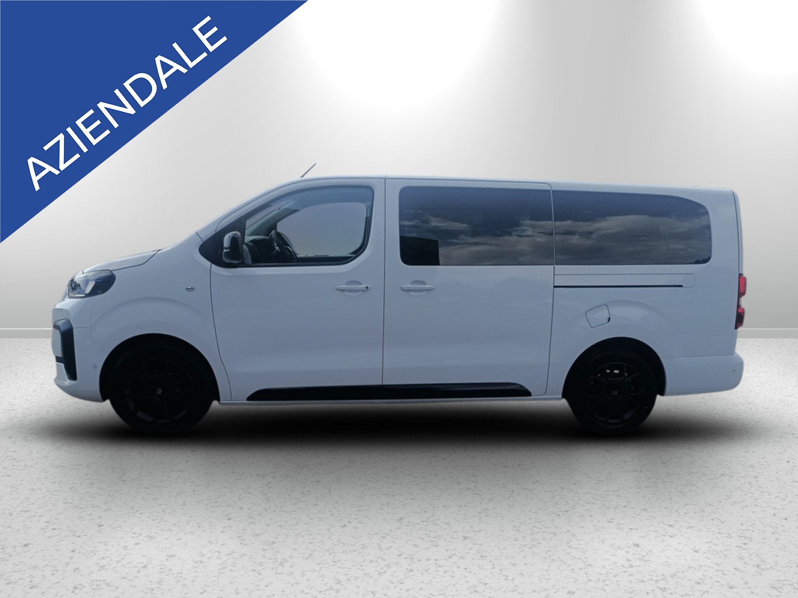 PRONTOAUTO Fiat Ulysse