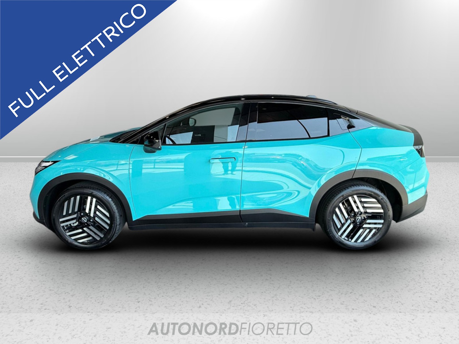 AUTONORD Nissan Leaf