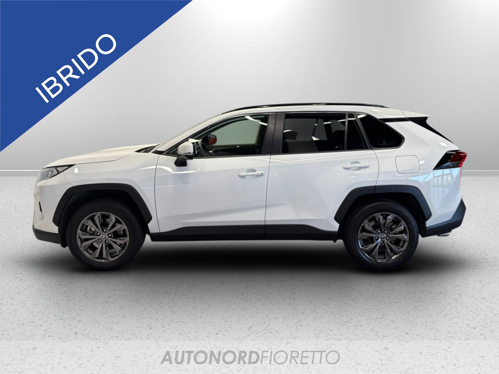 AUTONORD Toyota Rav4