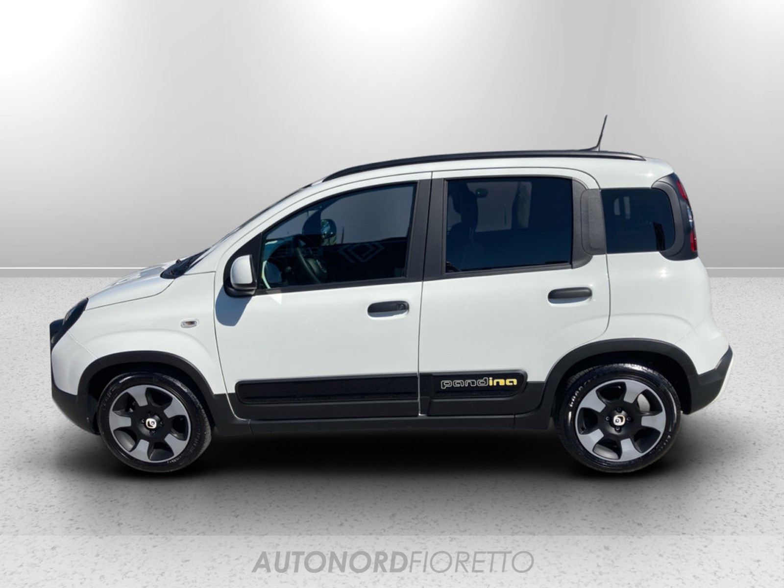 AUTONORD Fiat Pandina