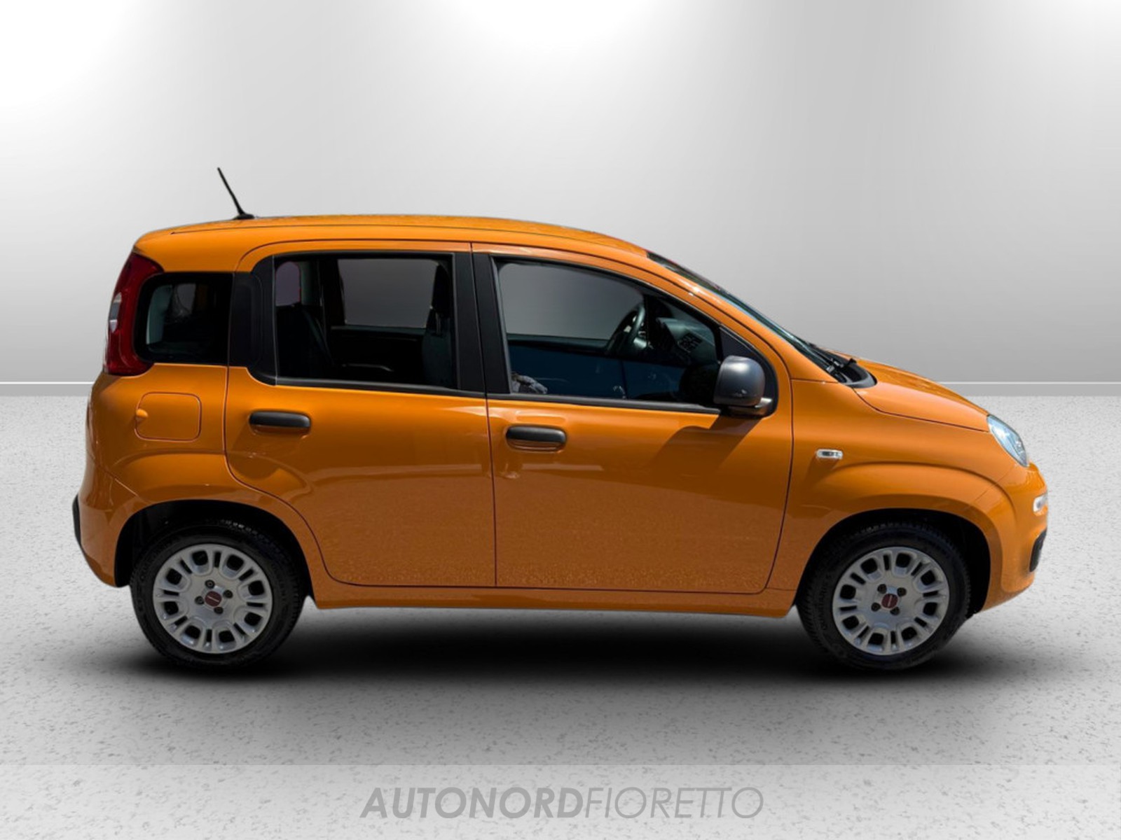 AUTONORD Fiat Panda