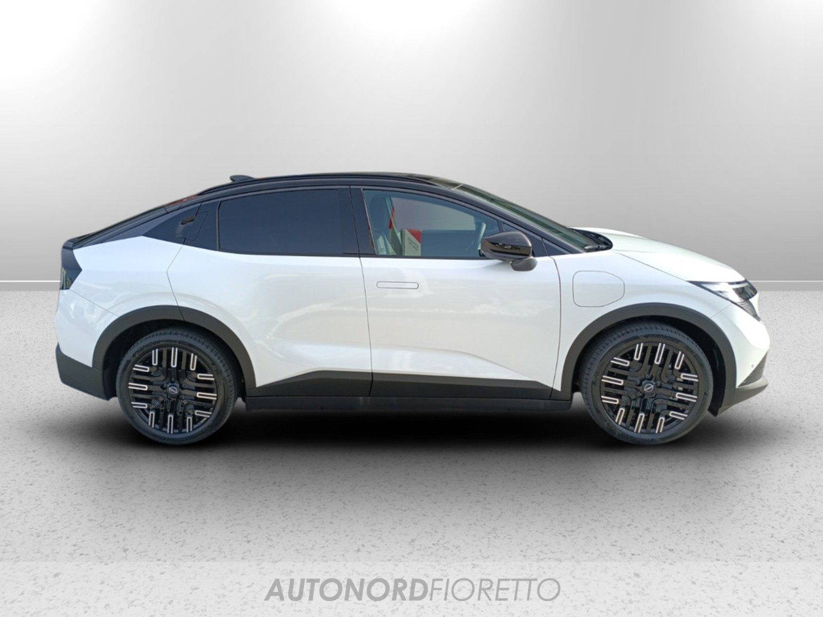 AUTONORD Nissan Leaf