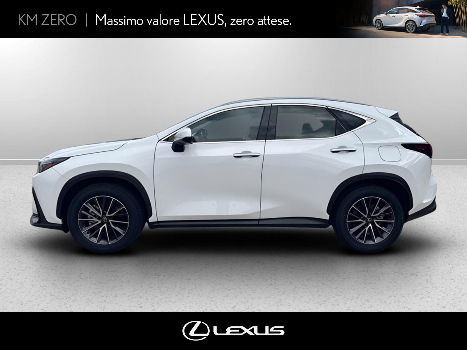 CARINI Lexus NX