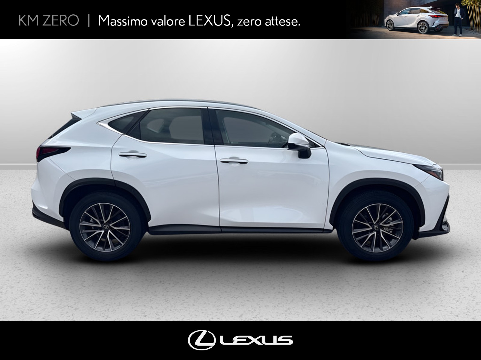 CARINI Lexus NX