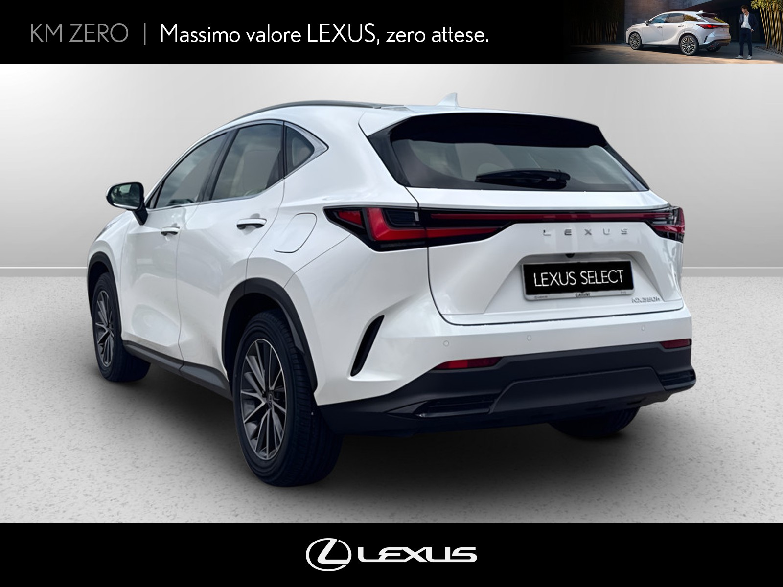CARINI Lexus NX