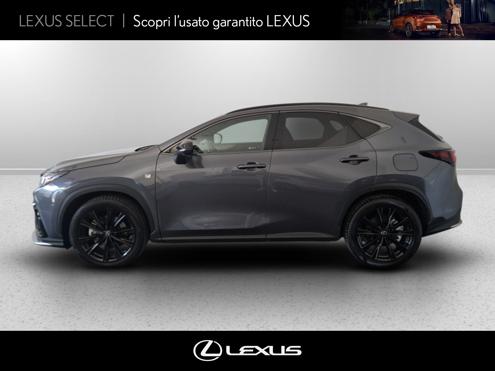CARINI Lexus NX