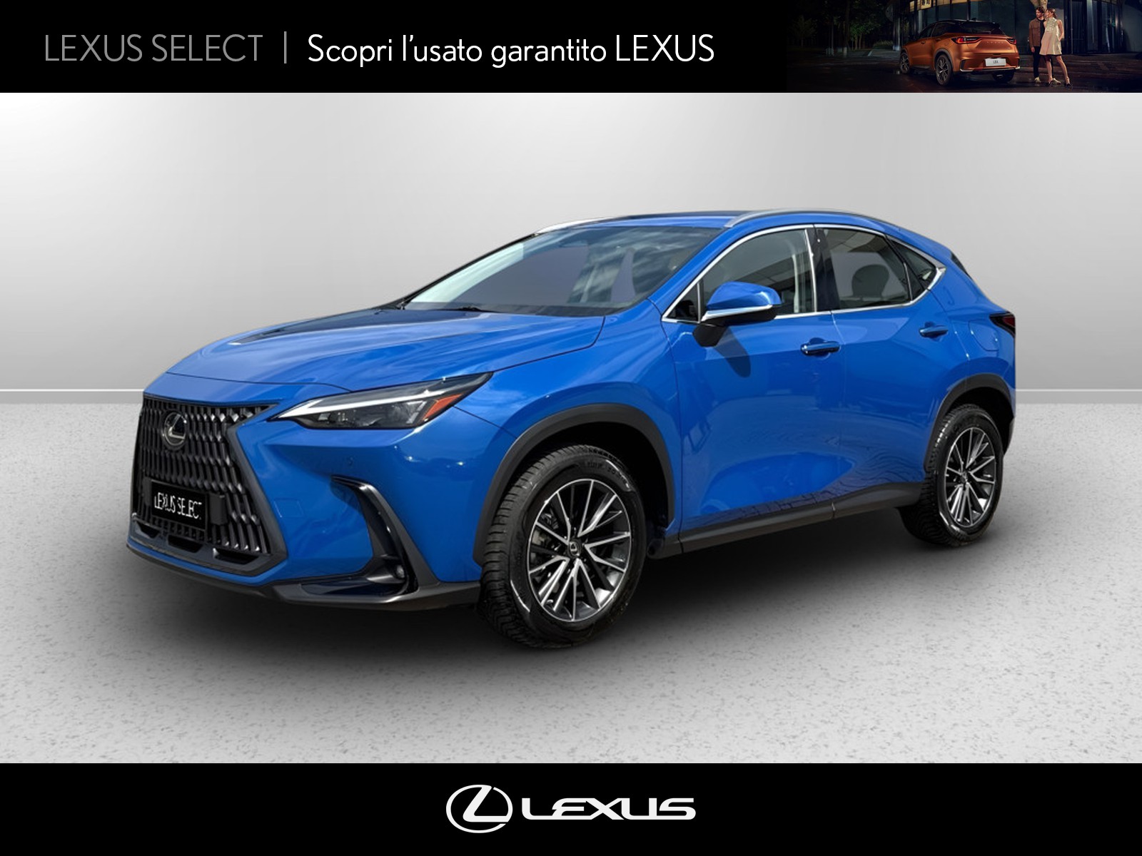 CARINI Lexus NX