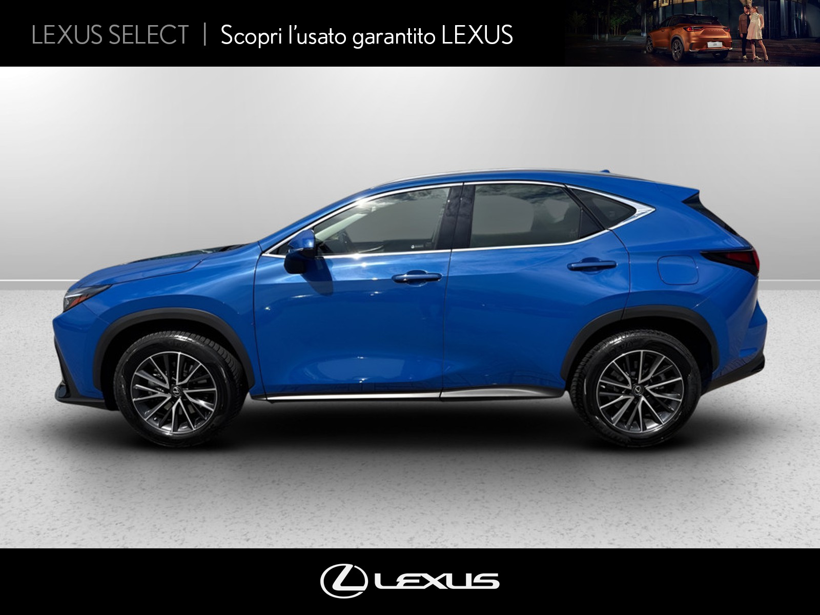CARINI Lexus NX