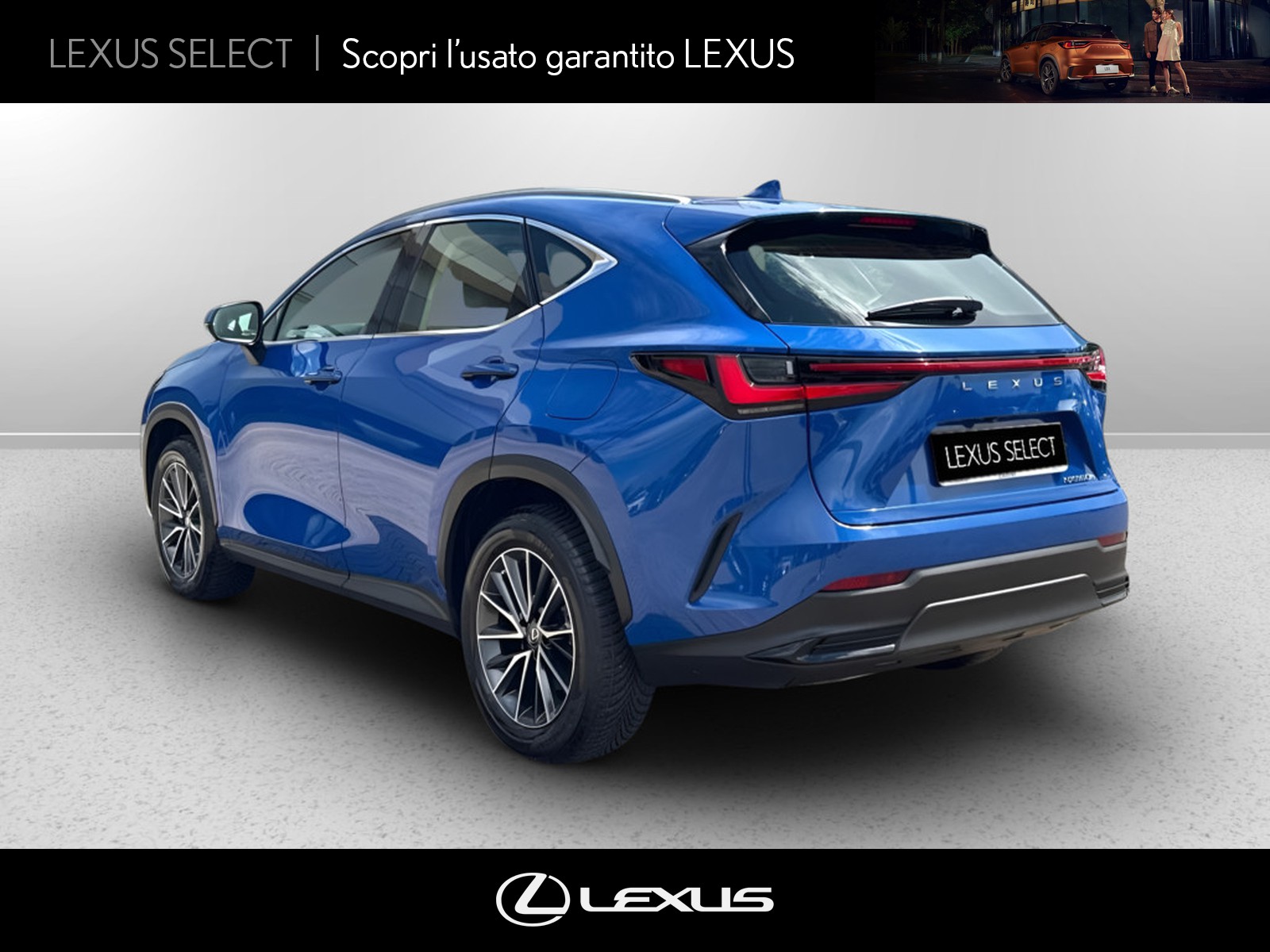 CARINI Lexus NX