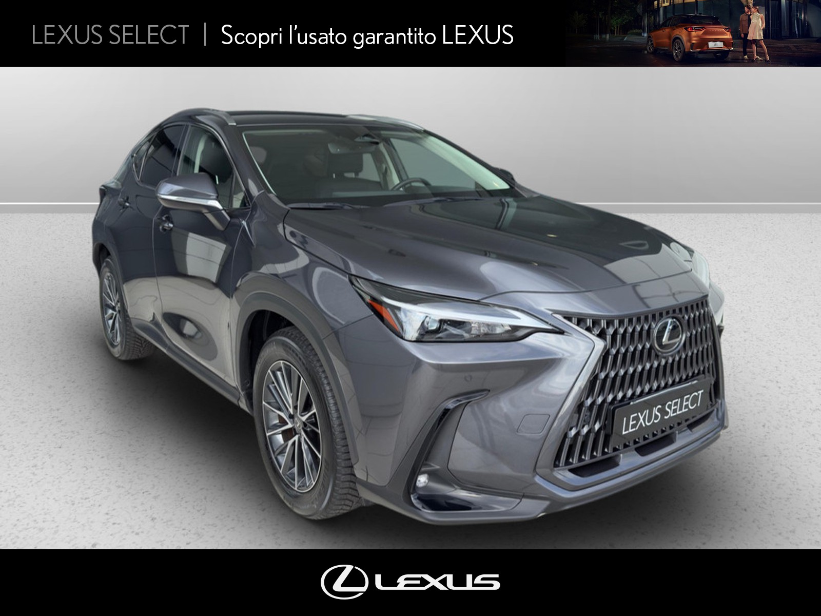 CARINI Lexus NX