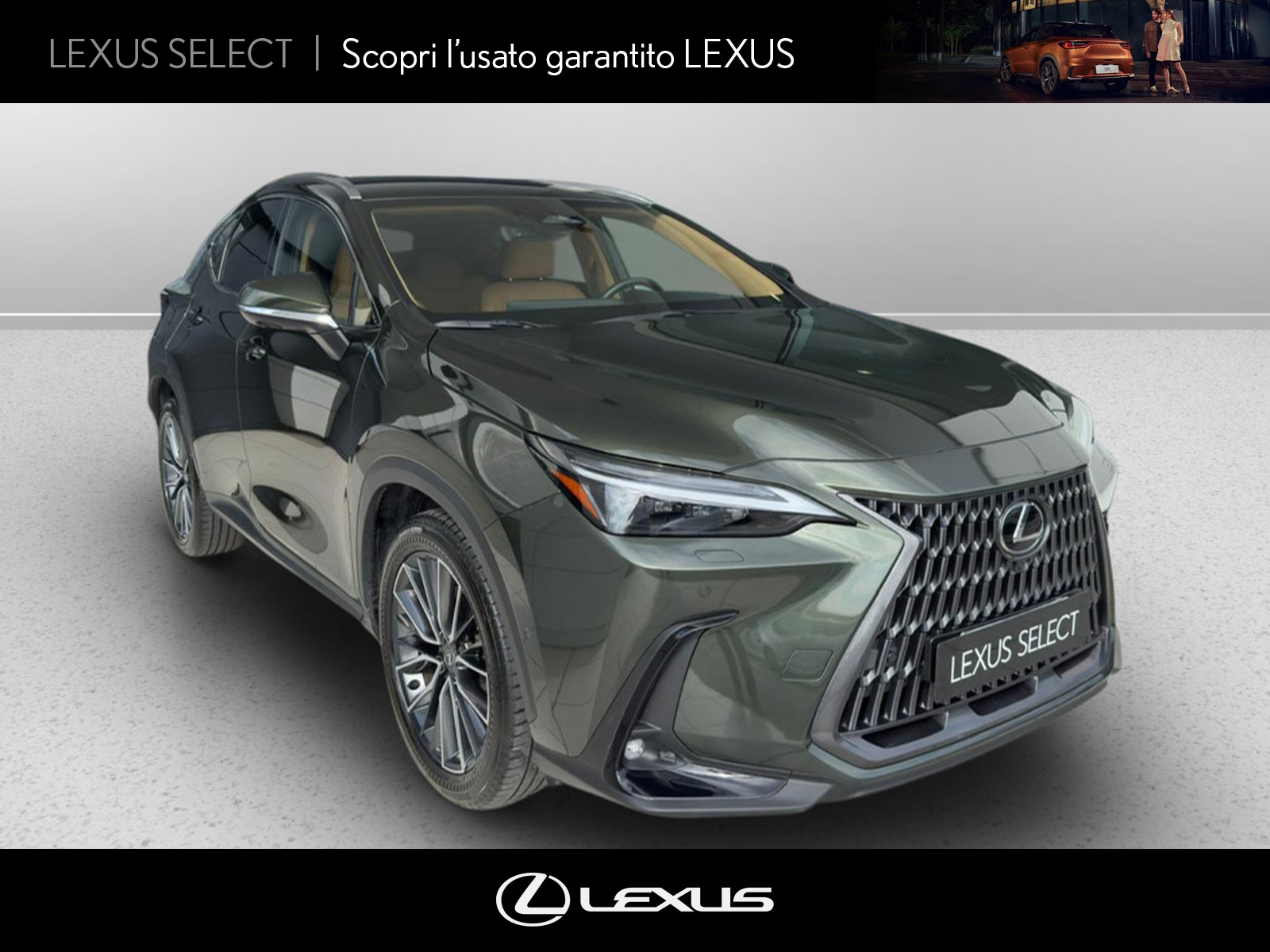 CARINI Lexus NX