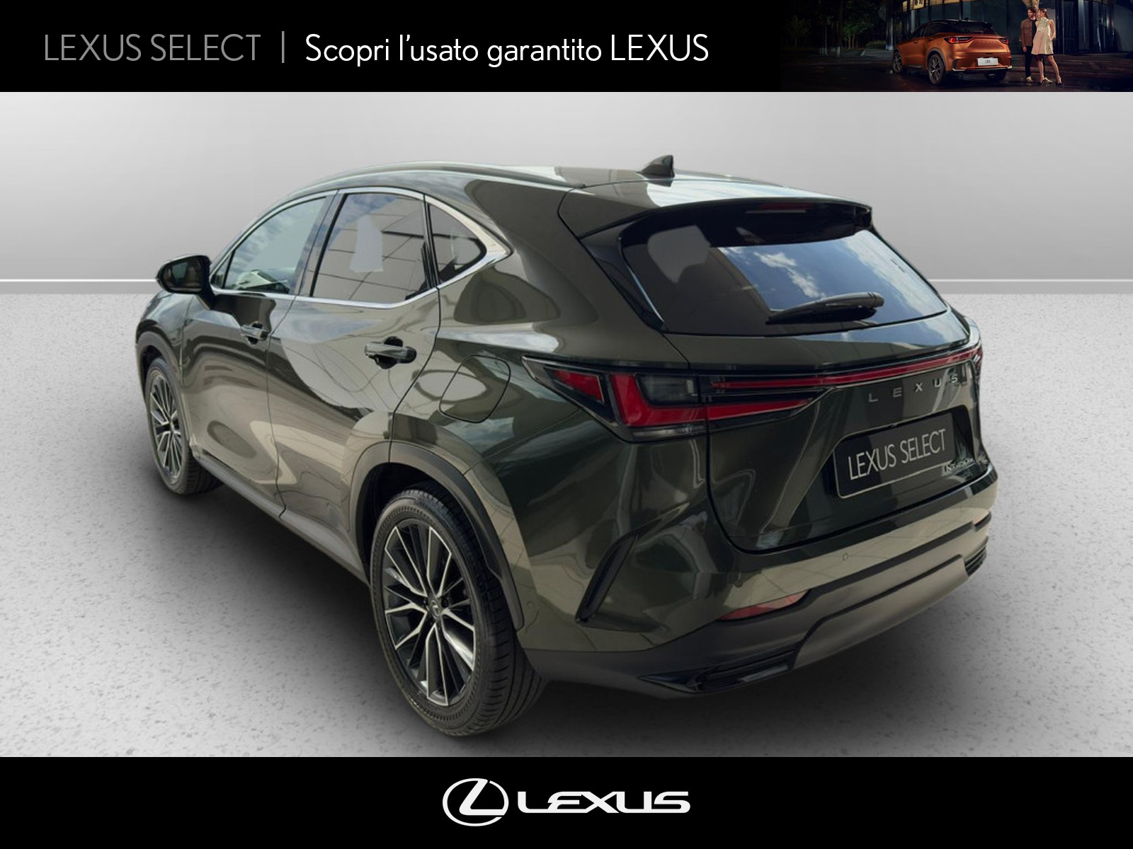 CARINI Lexus NX