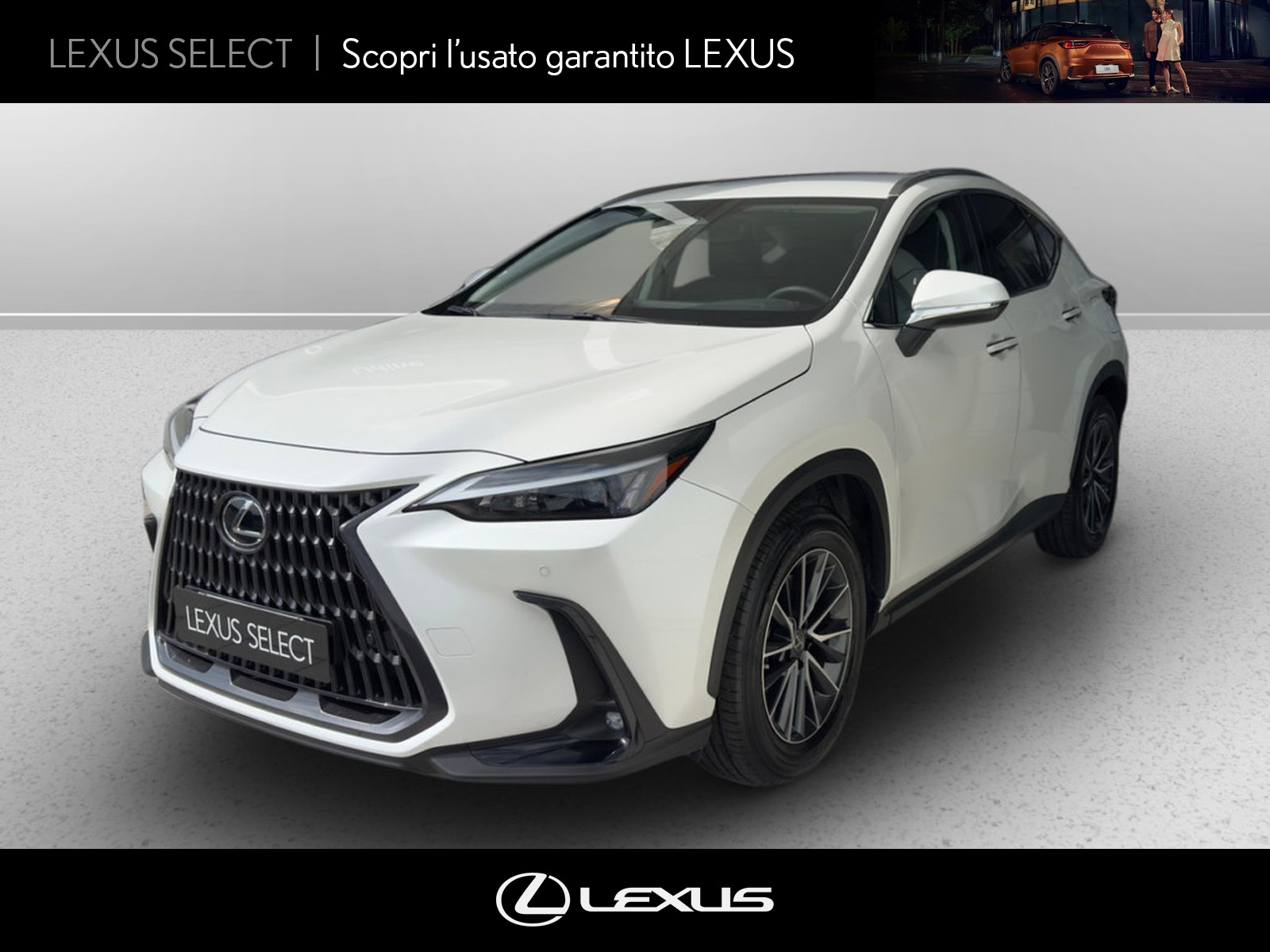 CARINI Lexus NX