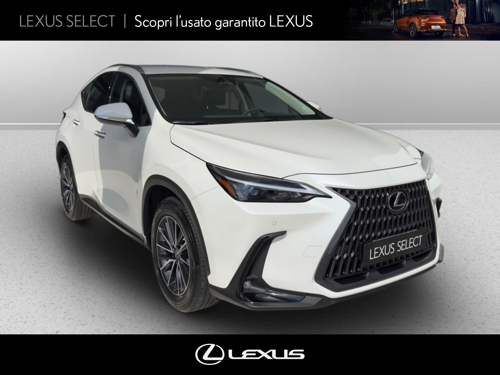 CARINI Lexus NX