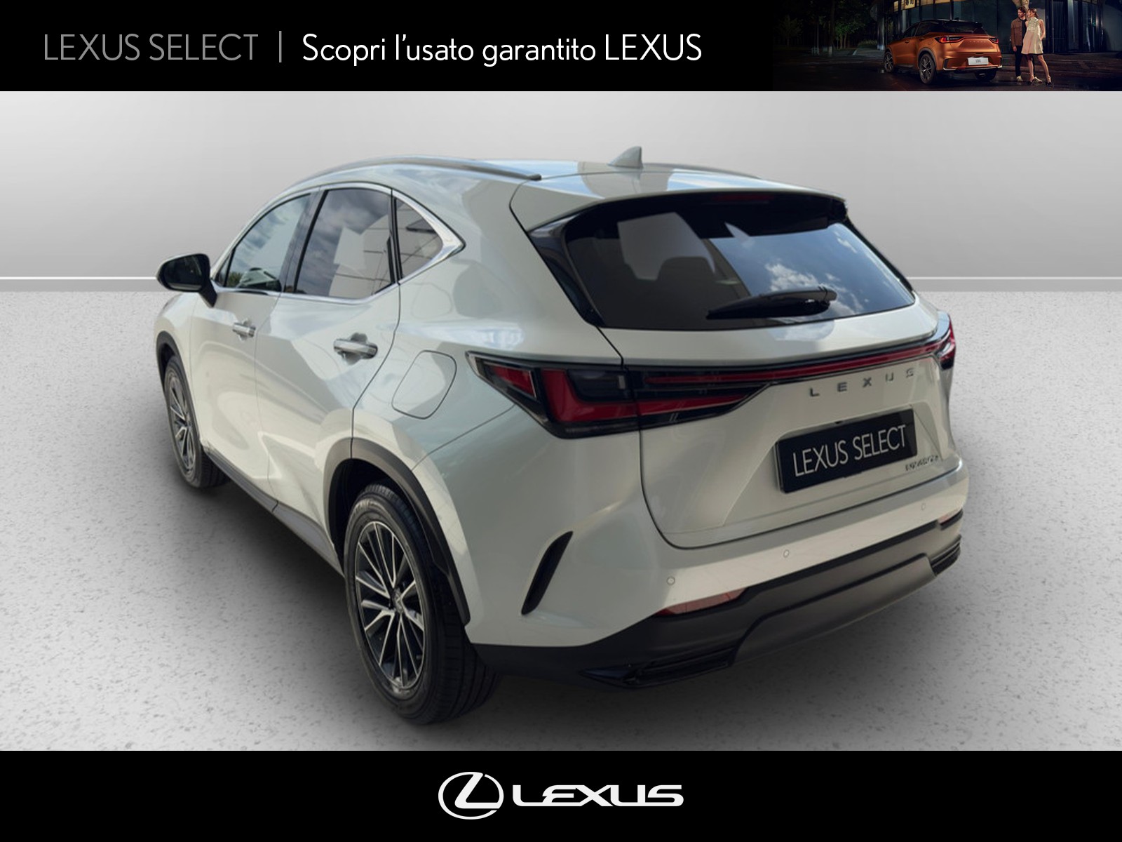 CARINI Lexus NX
