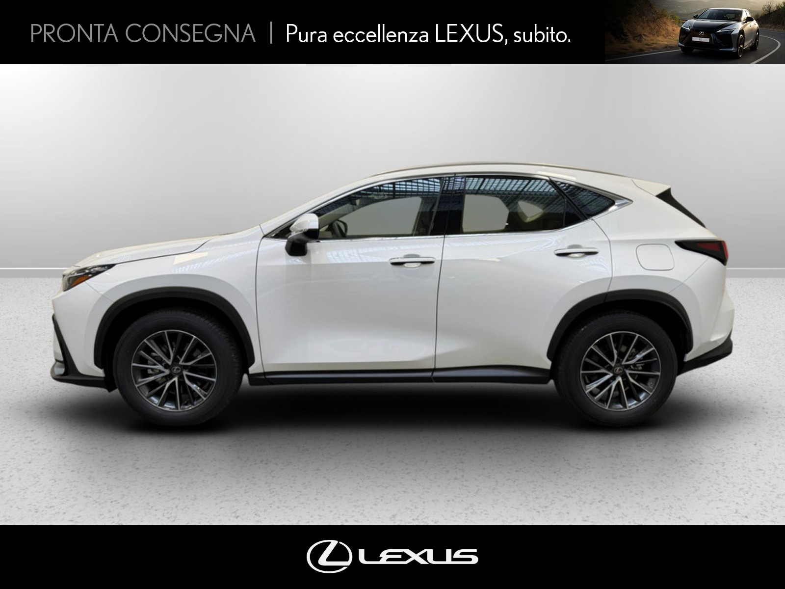 CARINI Lexus NX