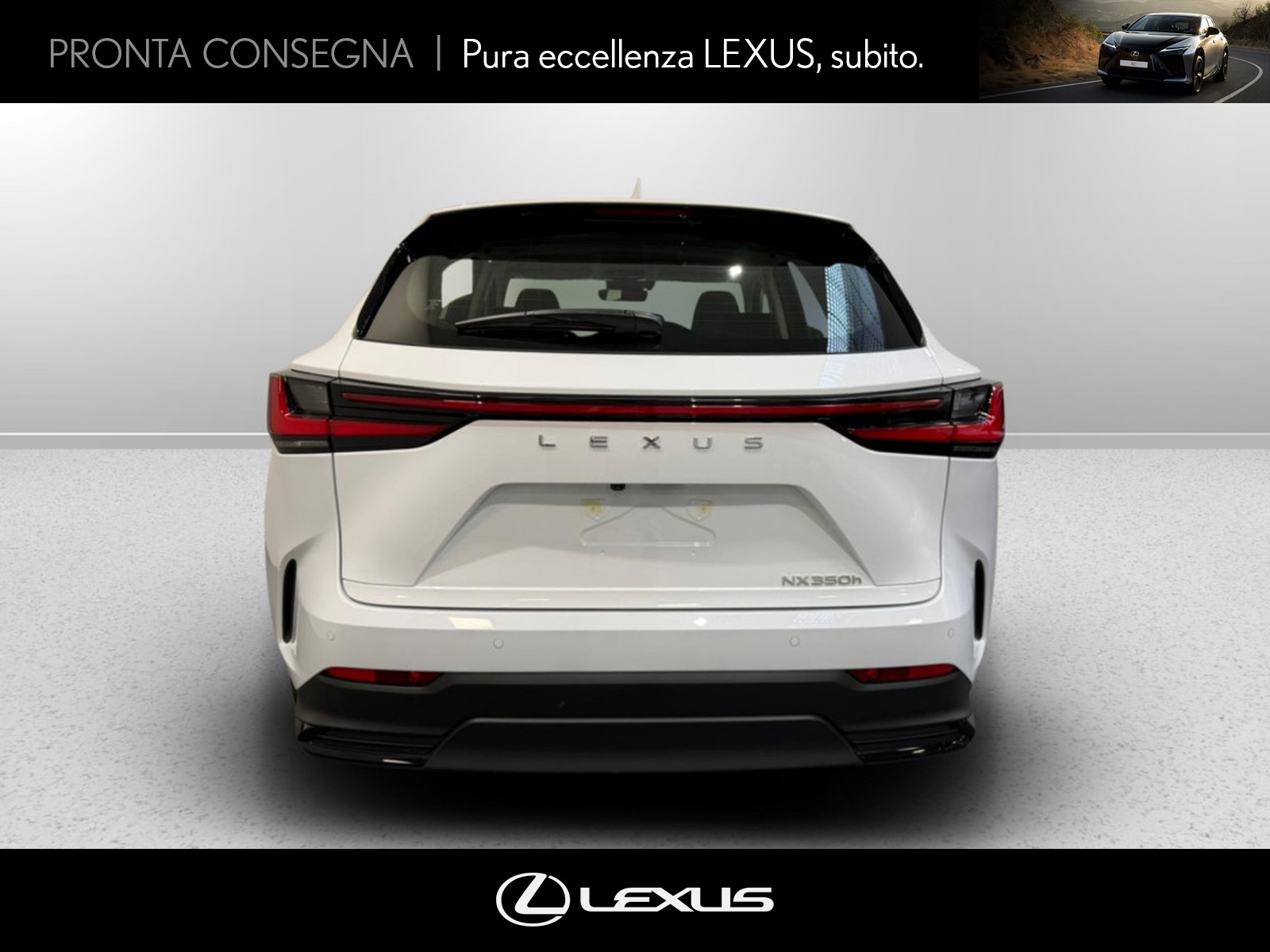CARINI Lexus NX