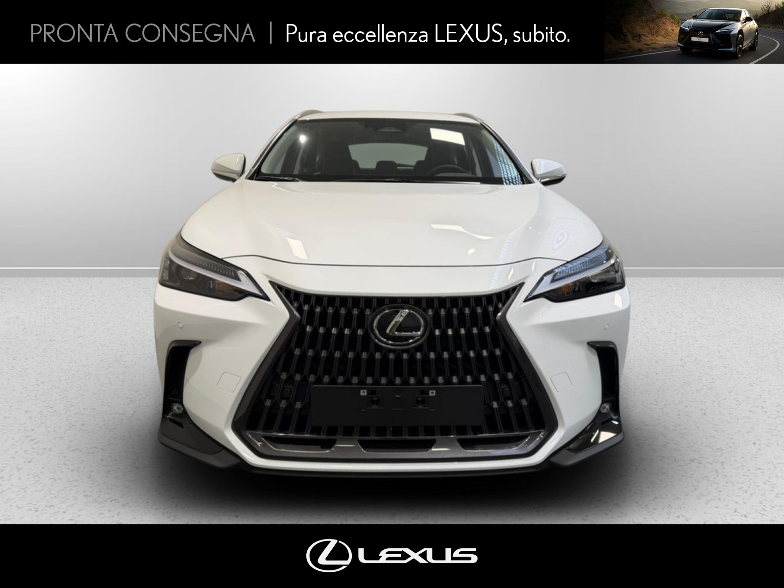 CARINI Lexus NX