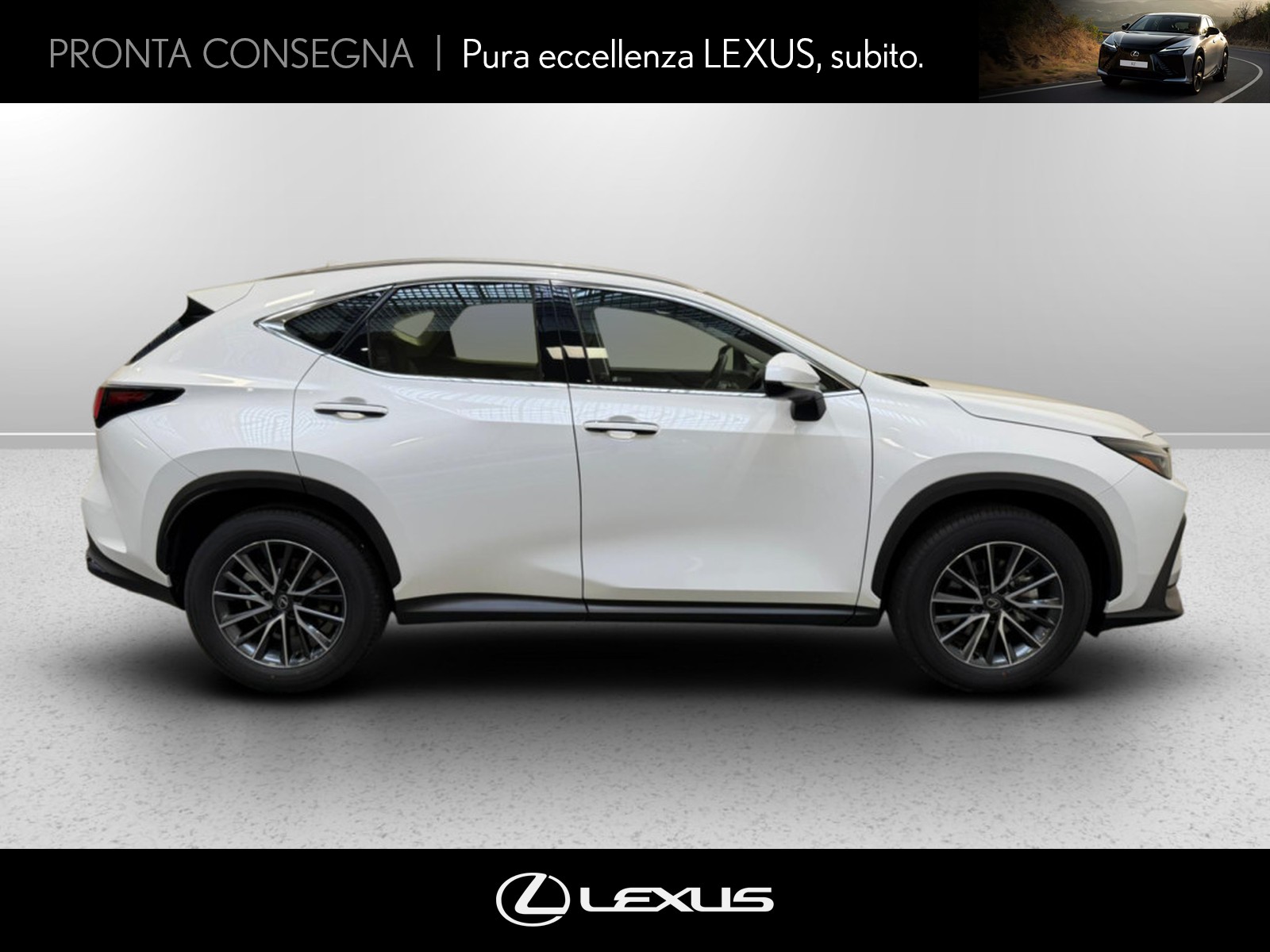 CARINI Lexus NX