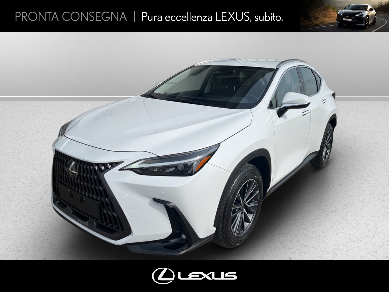 CARINI Lexus NX