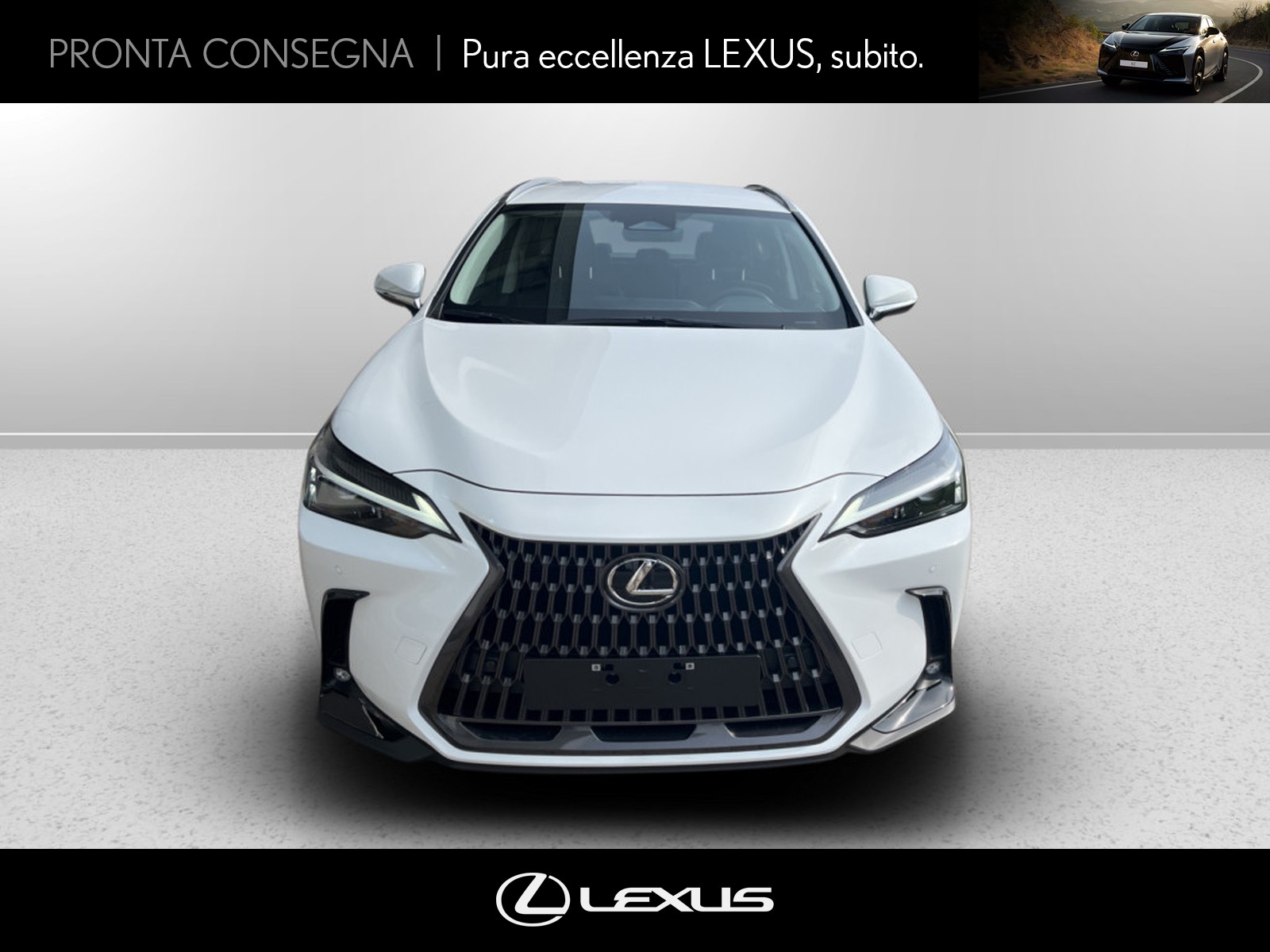 CARINI Lexus NX