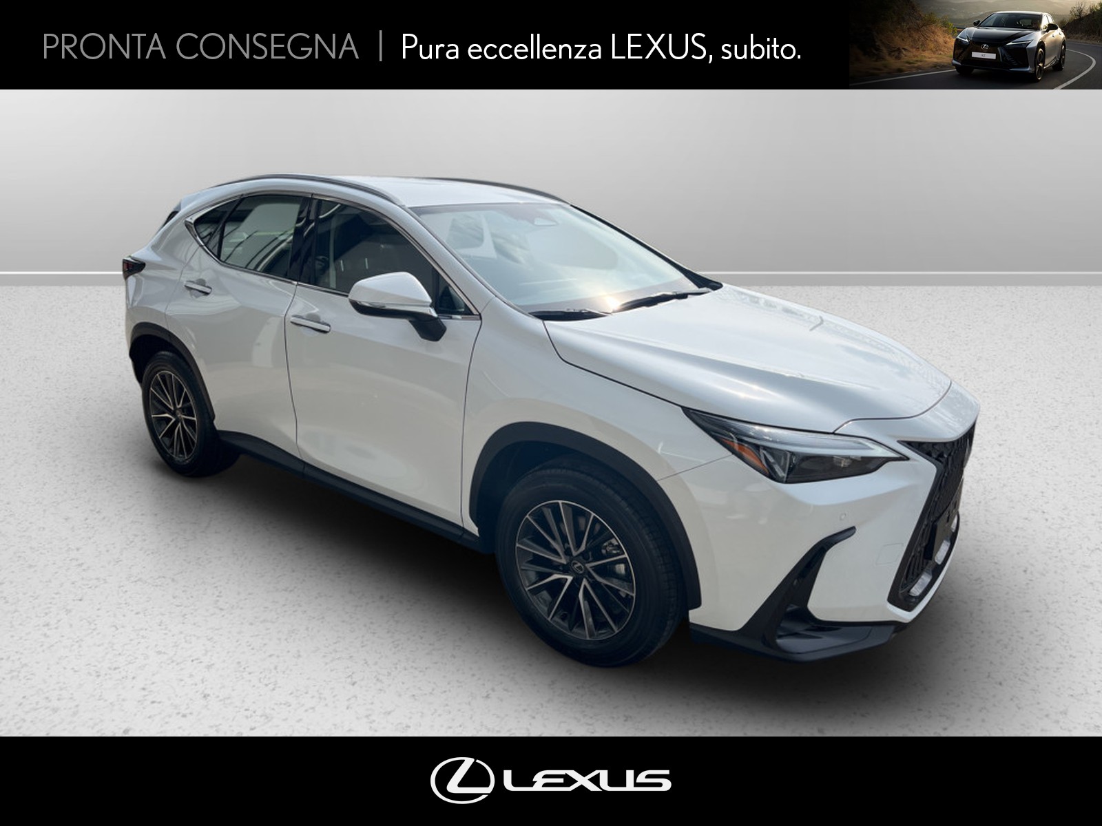 CARINI Lexus NX