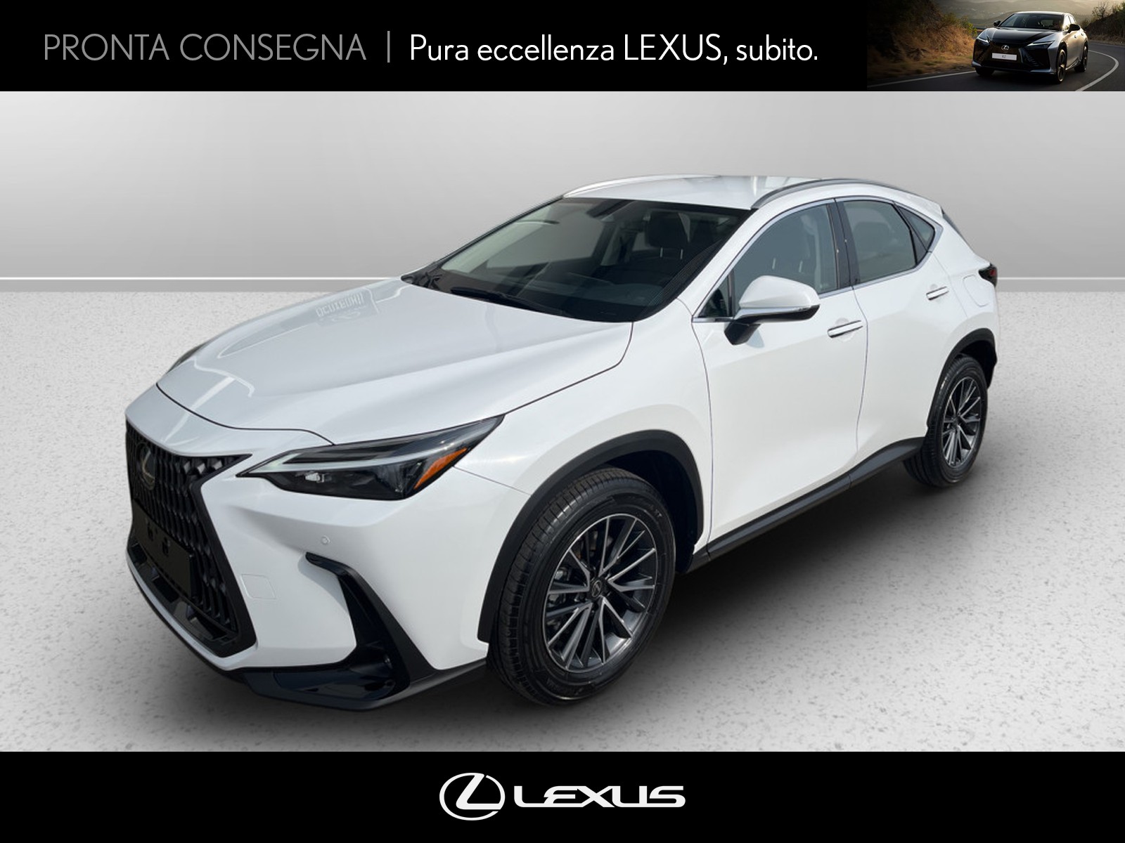 CARINI Lexus NX