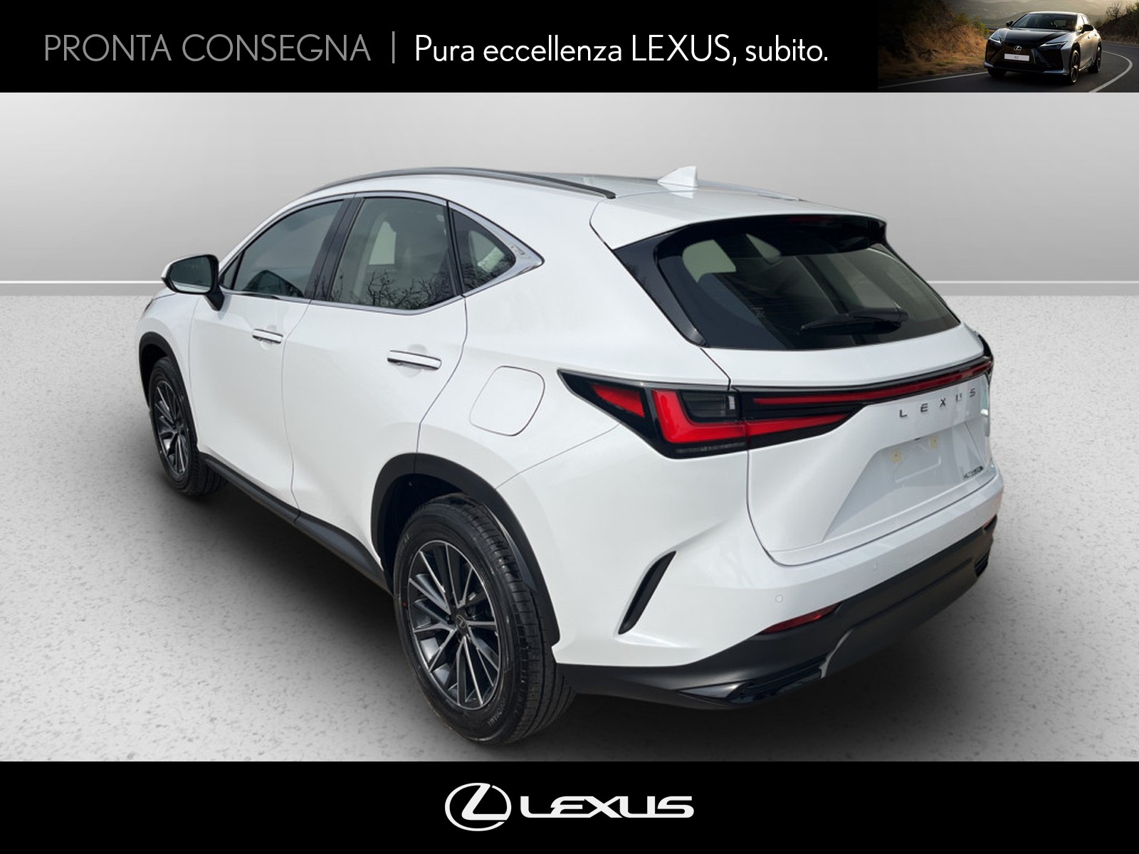 CARINI Lexus NX