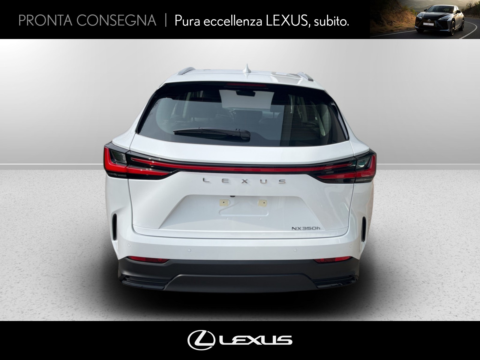 CARINI Lexus NX