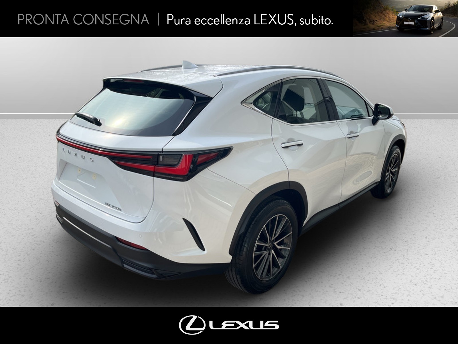 CARINI Lexus NX