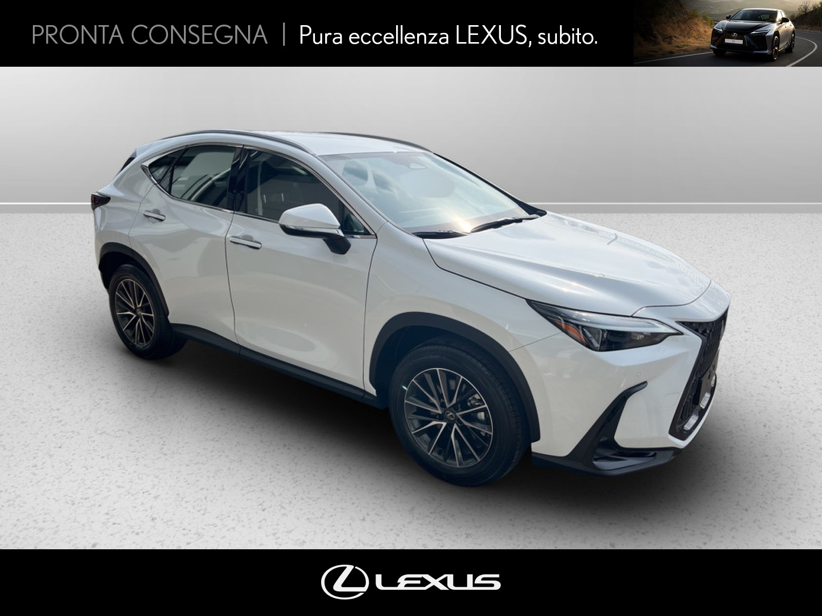 CARINI Lexus NX