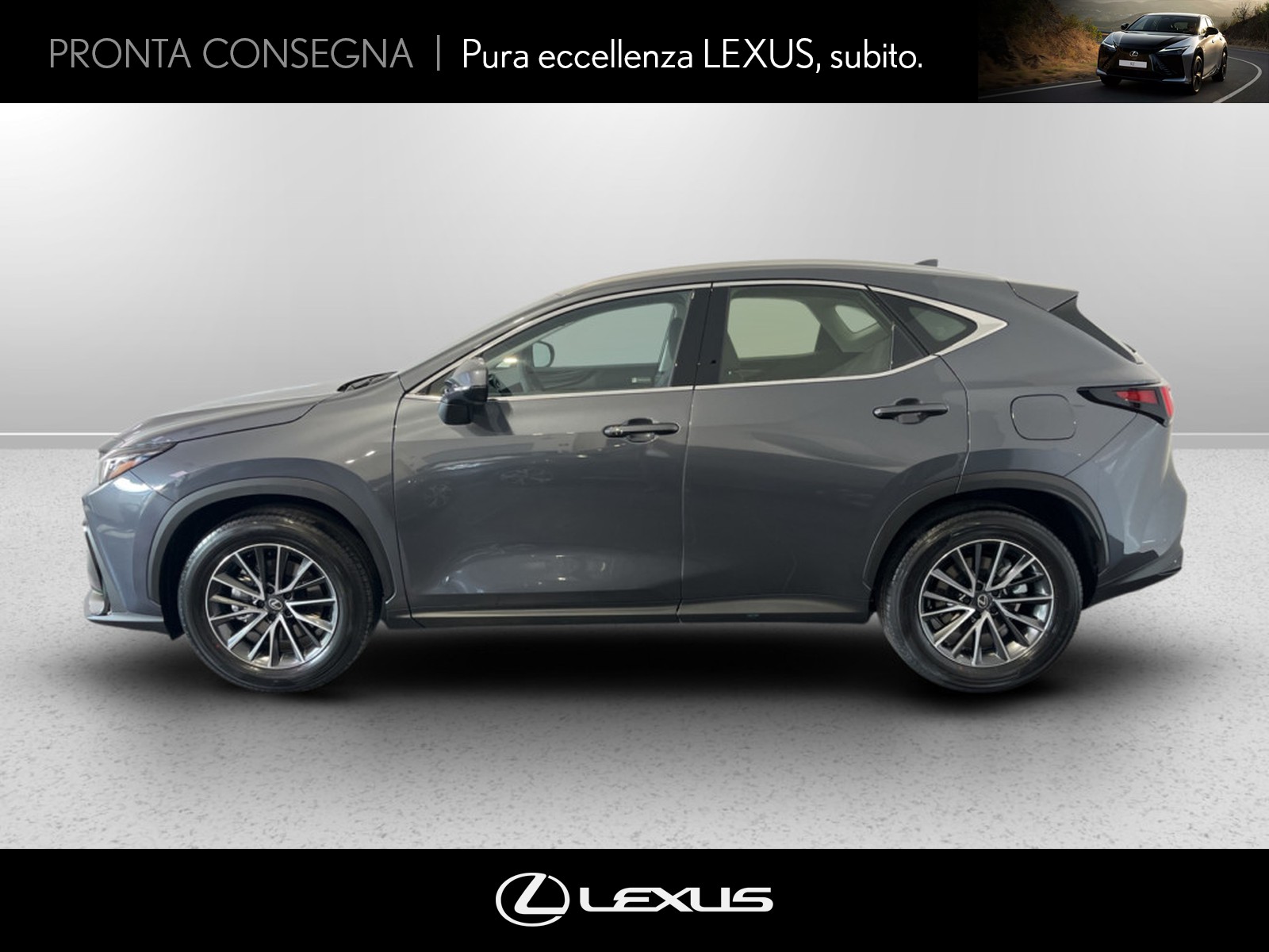 CARINI Lexus NX