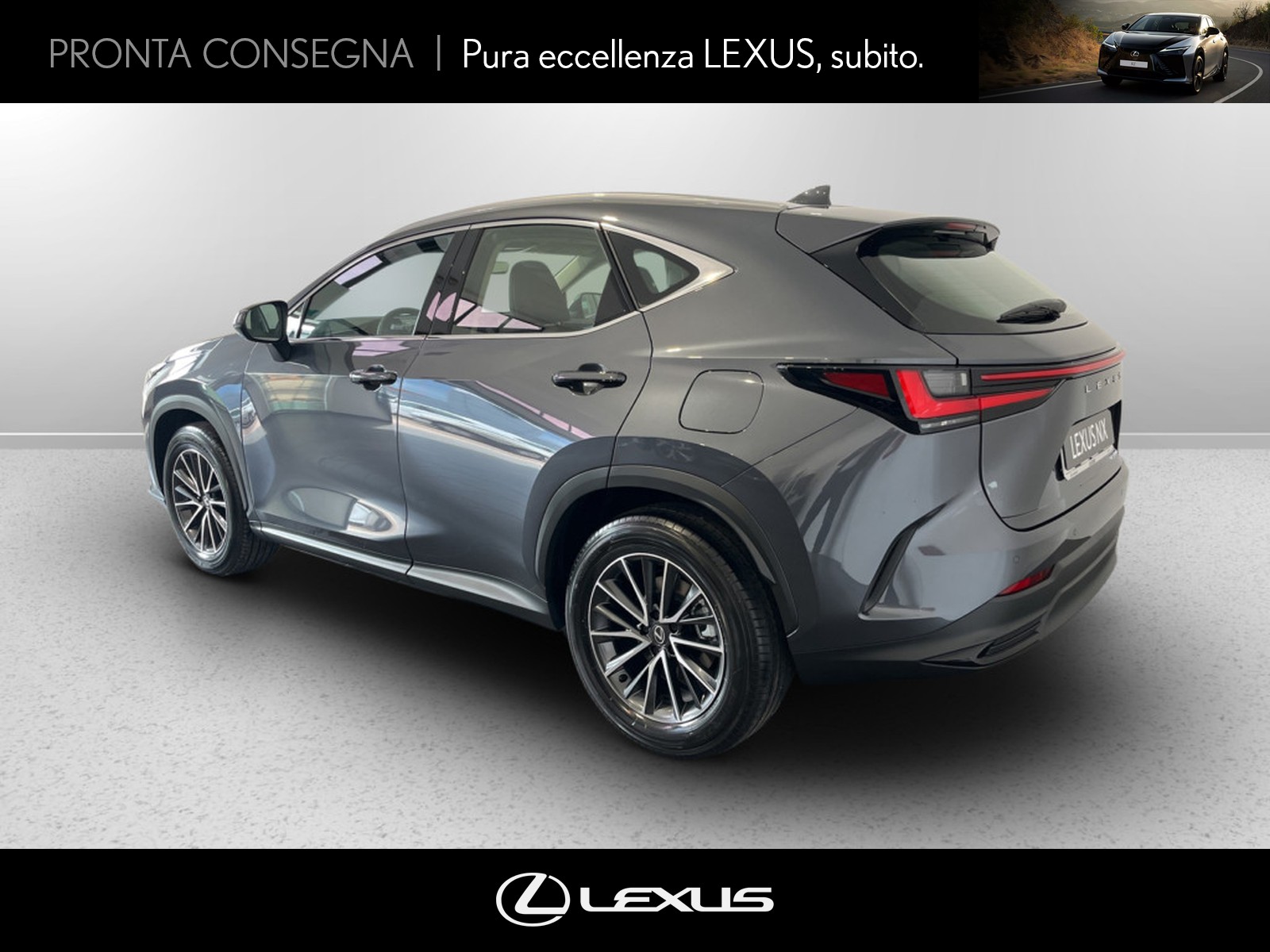 CARINI Lexus NX