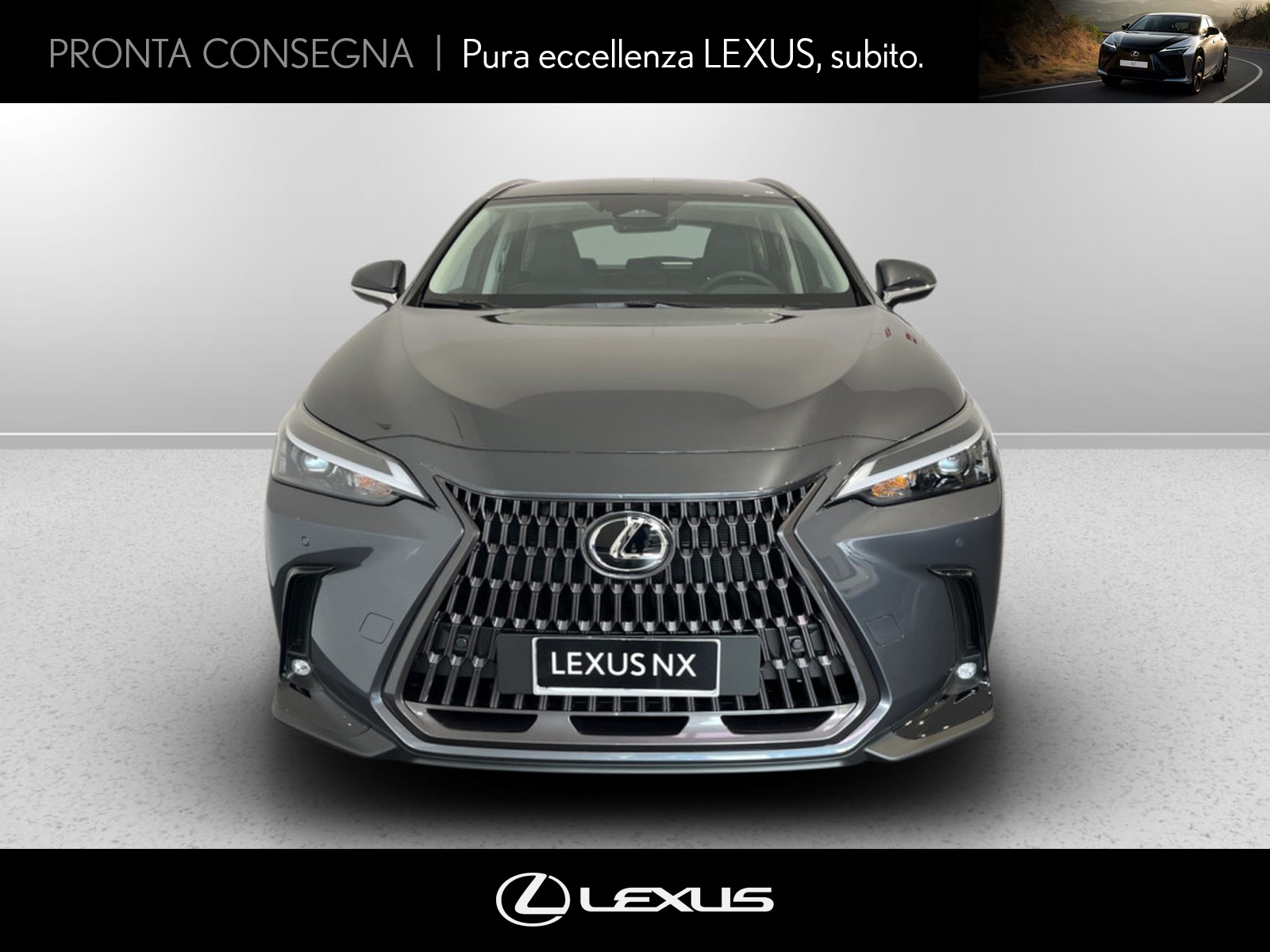 CARINI Lexus NX