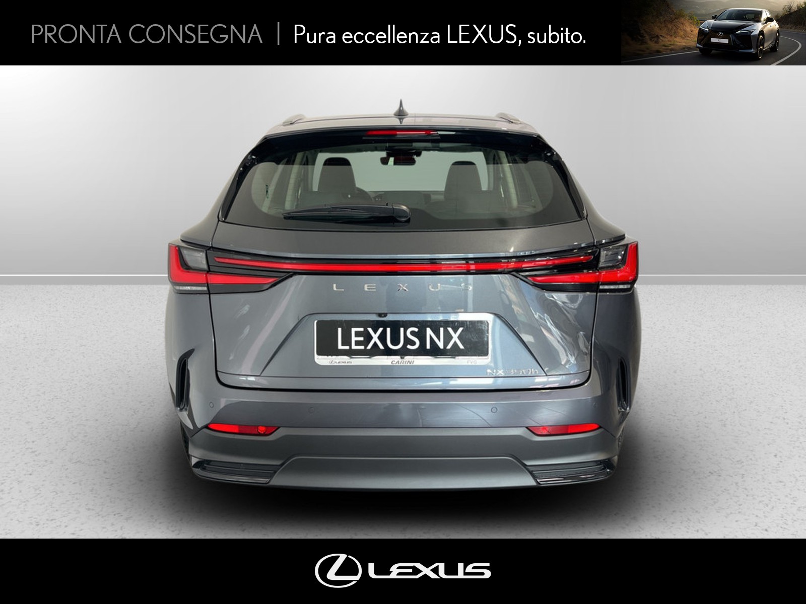 CARINI Lexus NX