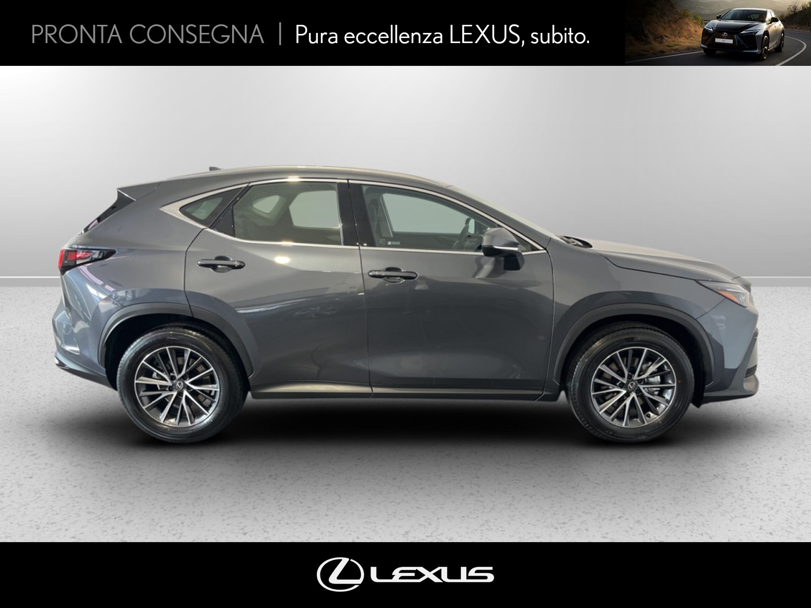 CARINI Lexus NX